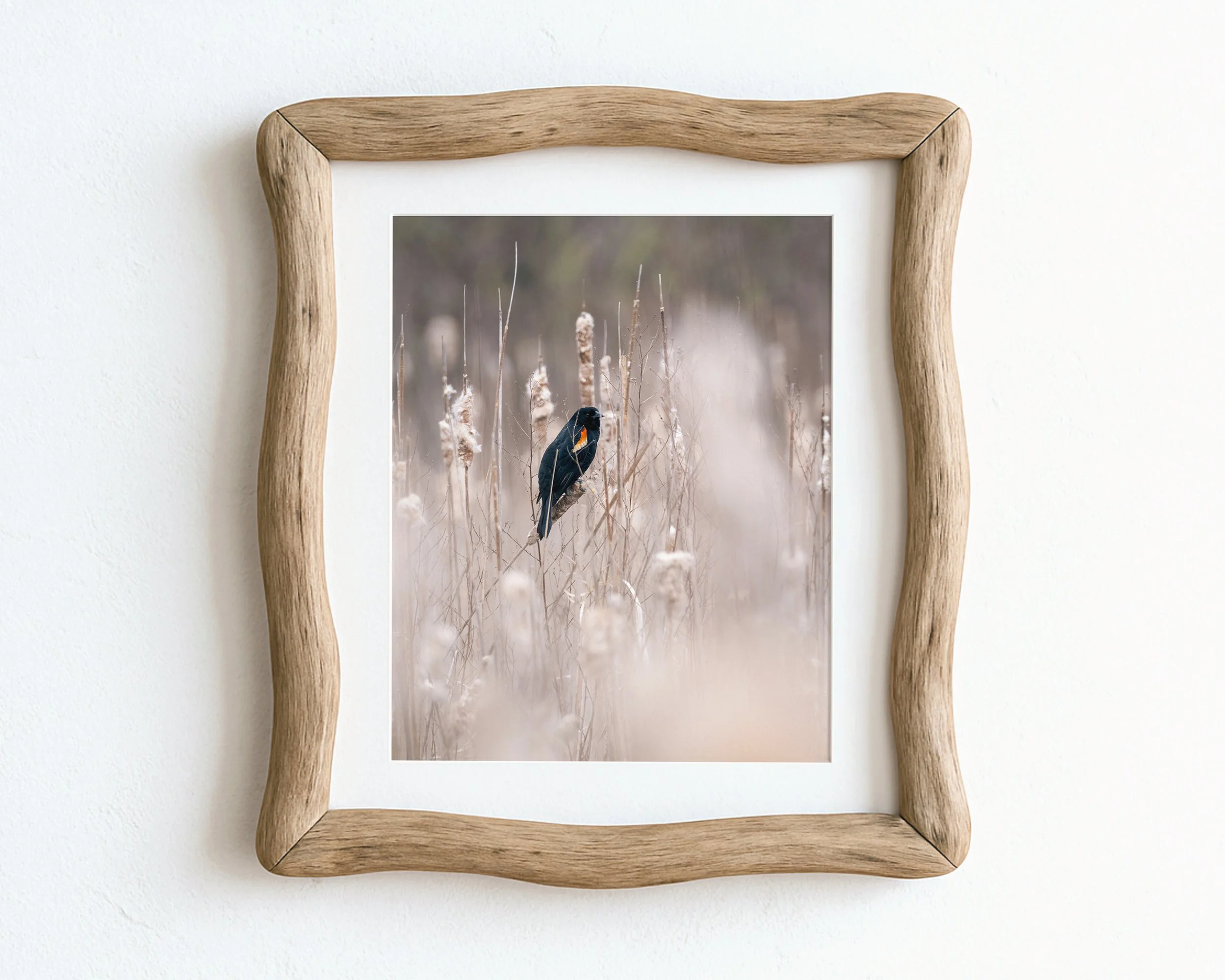 Red-Winged-Blackbird-in-Bulrushes_MockupHausCo_0053.jpg