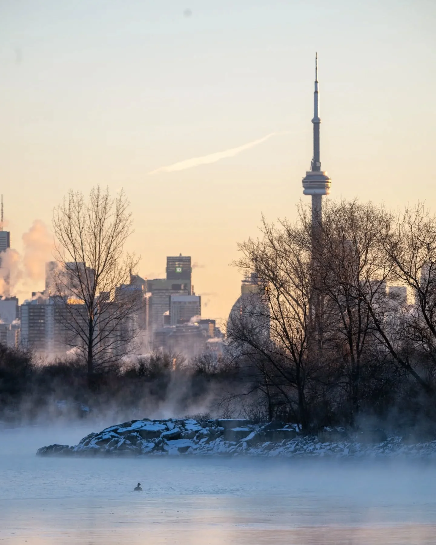 Last week after a huge, sudden drop in temperature, there was an eerie fog that formed over Lake Ontario early that morning. It seemed from out of this world and was definitely an incredible sight to see!

Who else saw the fog that morning? 🙋🏽

#la