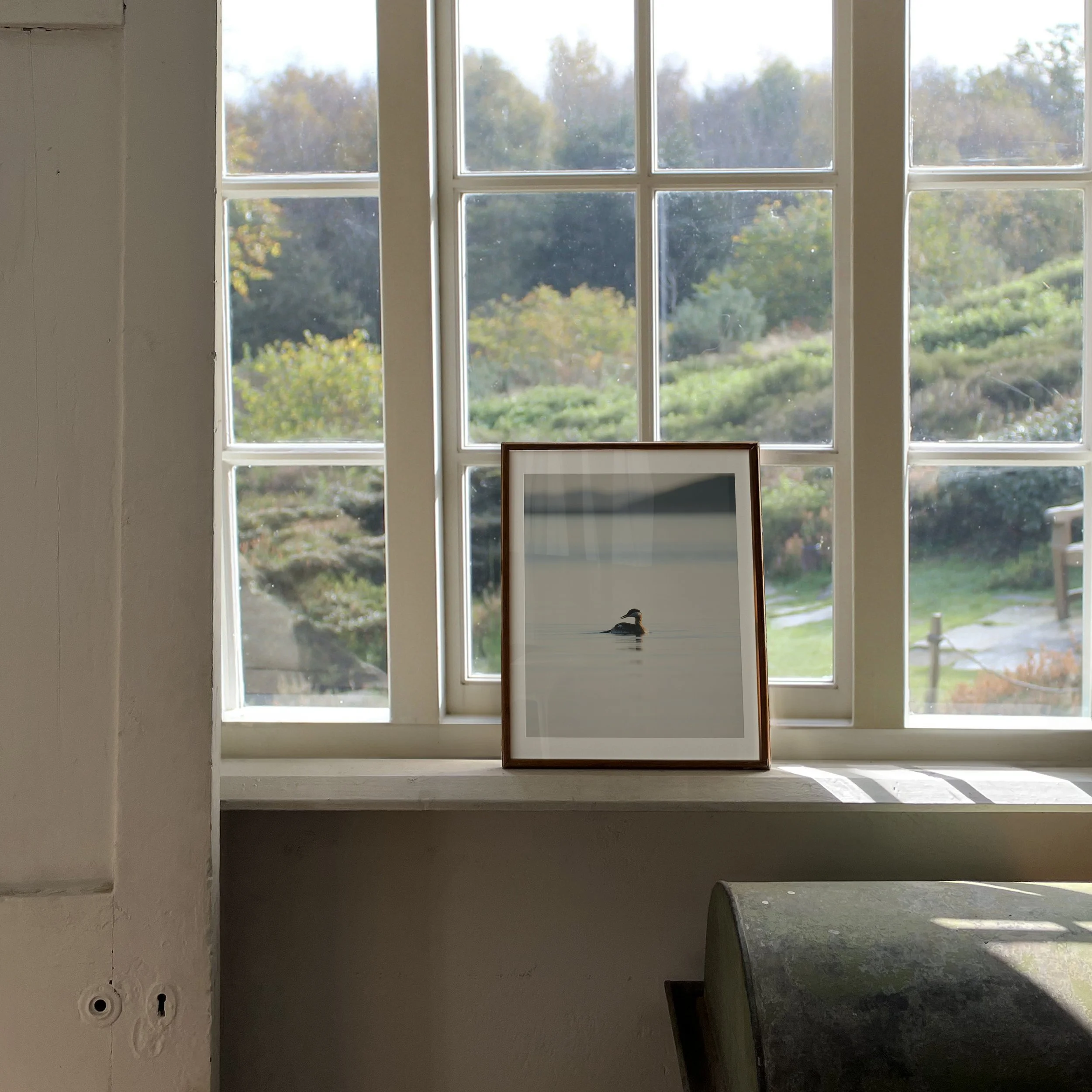 Minimalist-Photo-of-Rednecked-Grebe_4x5-vertical-frame-countryside-0433 - SingleSmartObject.jpg