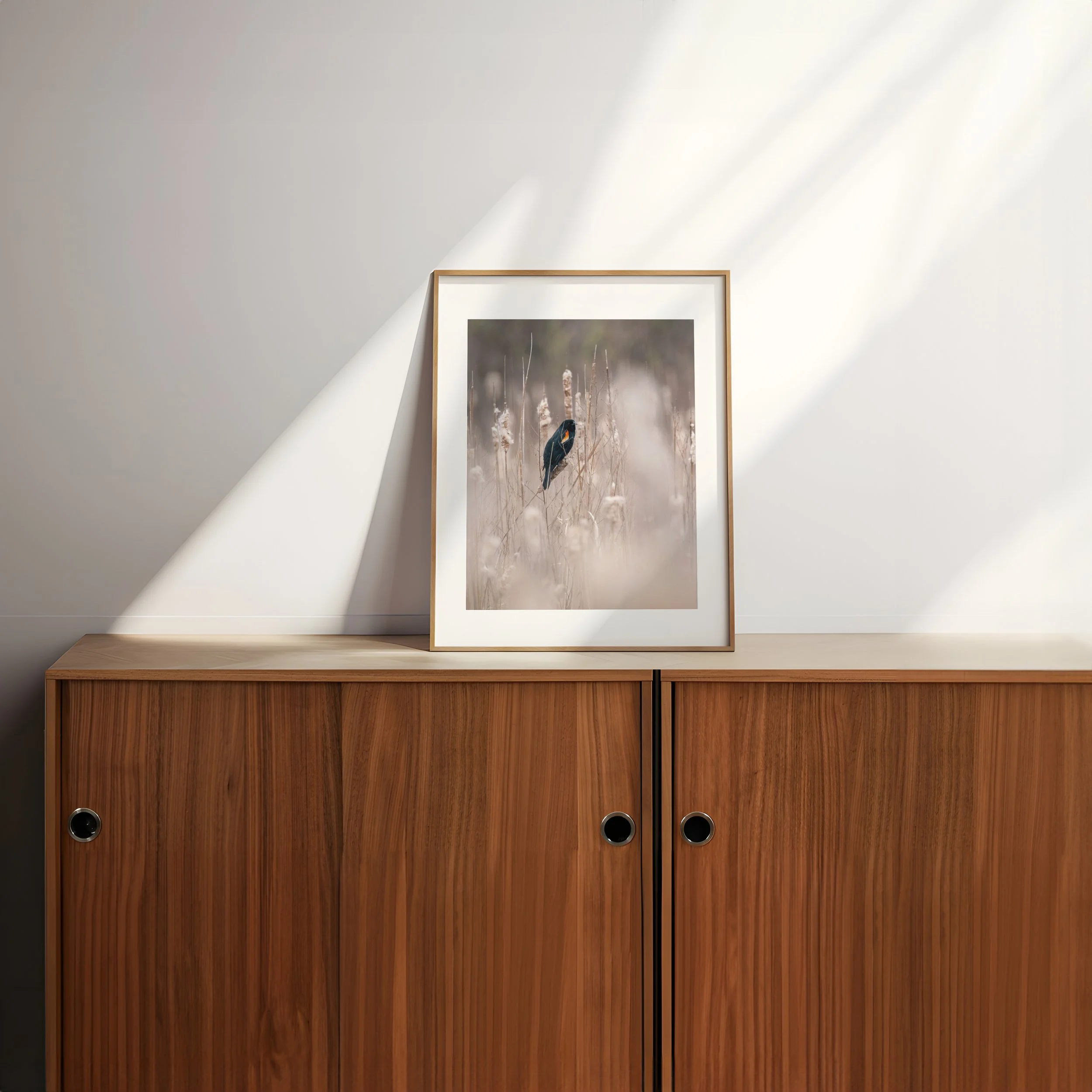 Red-Winged-Blackbird-in-Bulrushes_4x5-frame-wooden-credenza-sunlight-0171 - SingleSmartObject.jpg