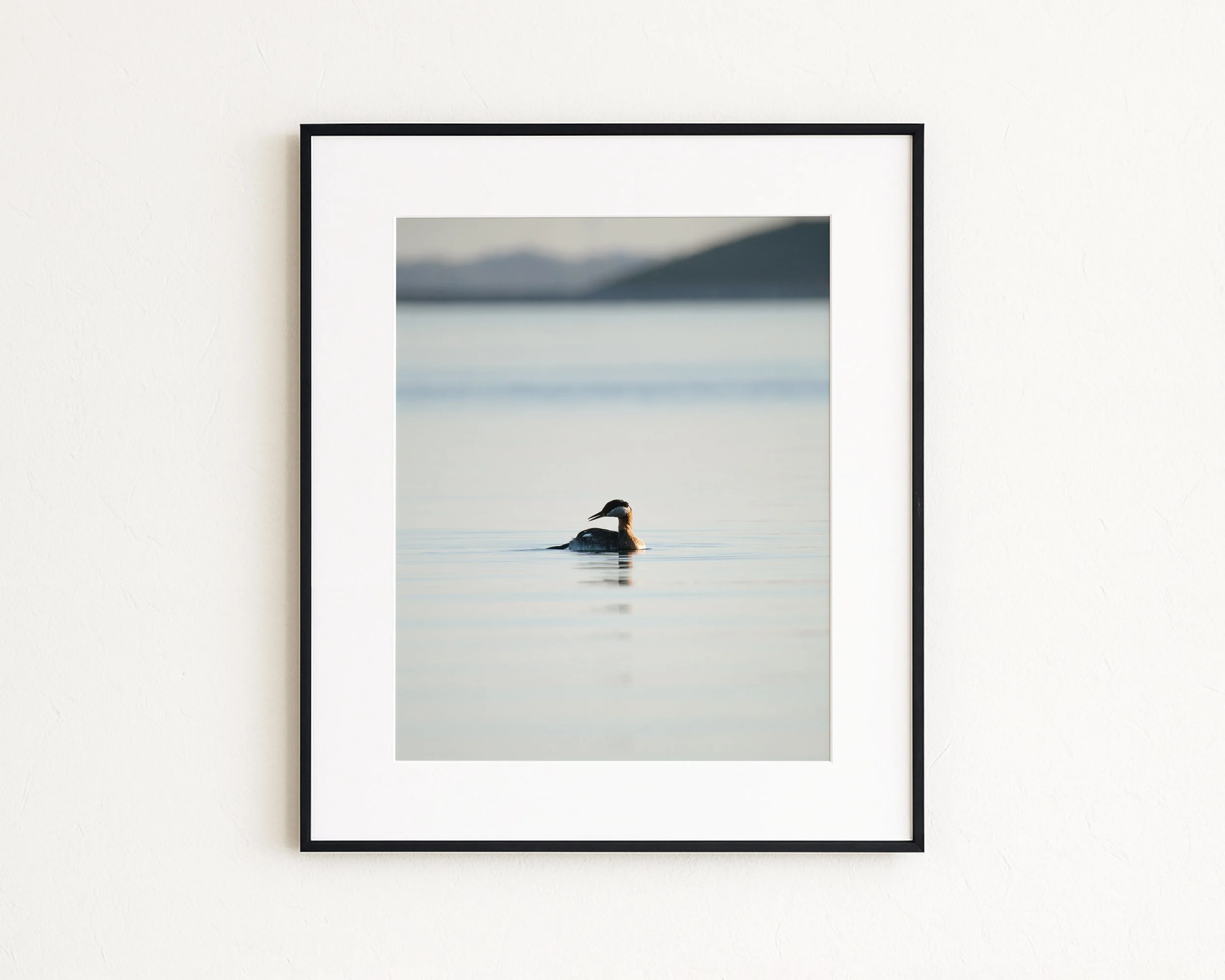 Minimalist-Photo-of-Rednecked-Grebe_MockupHausCo_0043.jpg
