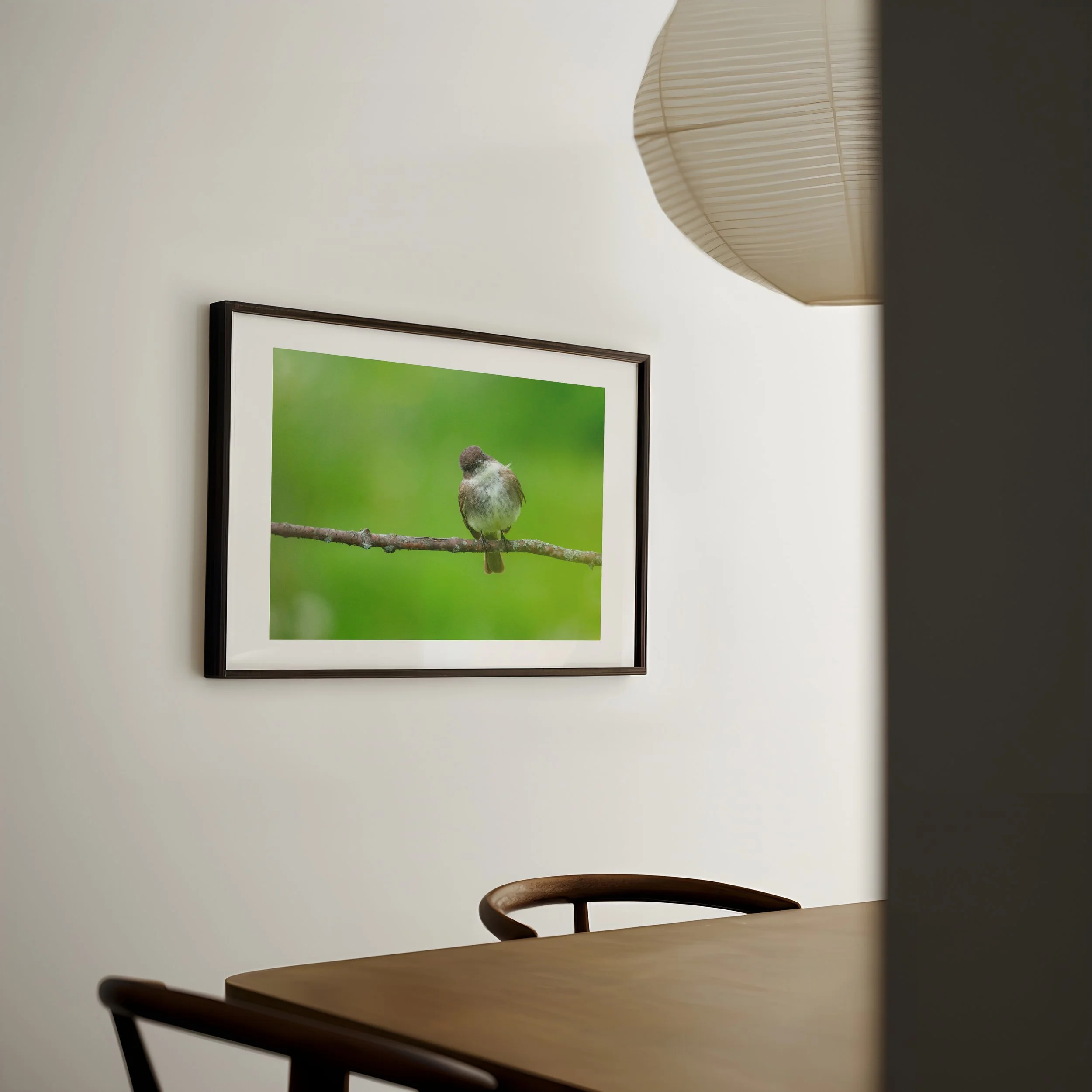 Eastern-Phoebe-on-Branch-with-Green-Background_DIN-A-horizontal-japandi-dining-0451 - SingleSmartObject.jpg
