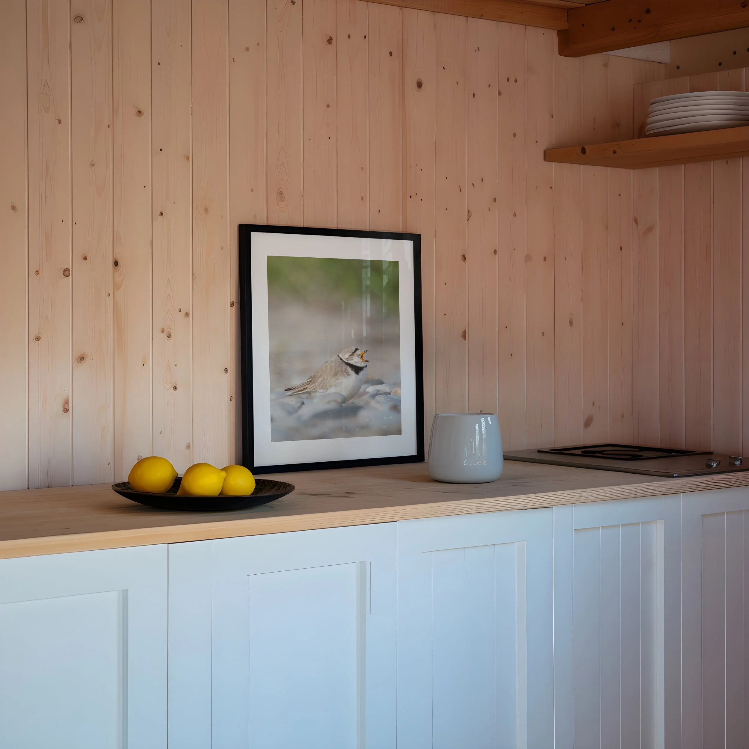 Yawning-Piping-Plover_DIN-A-black-frame-kitchen-citrus-0337 - SingleSmartObject.jpg