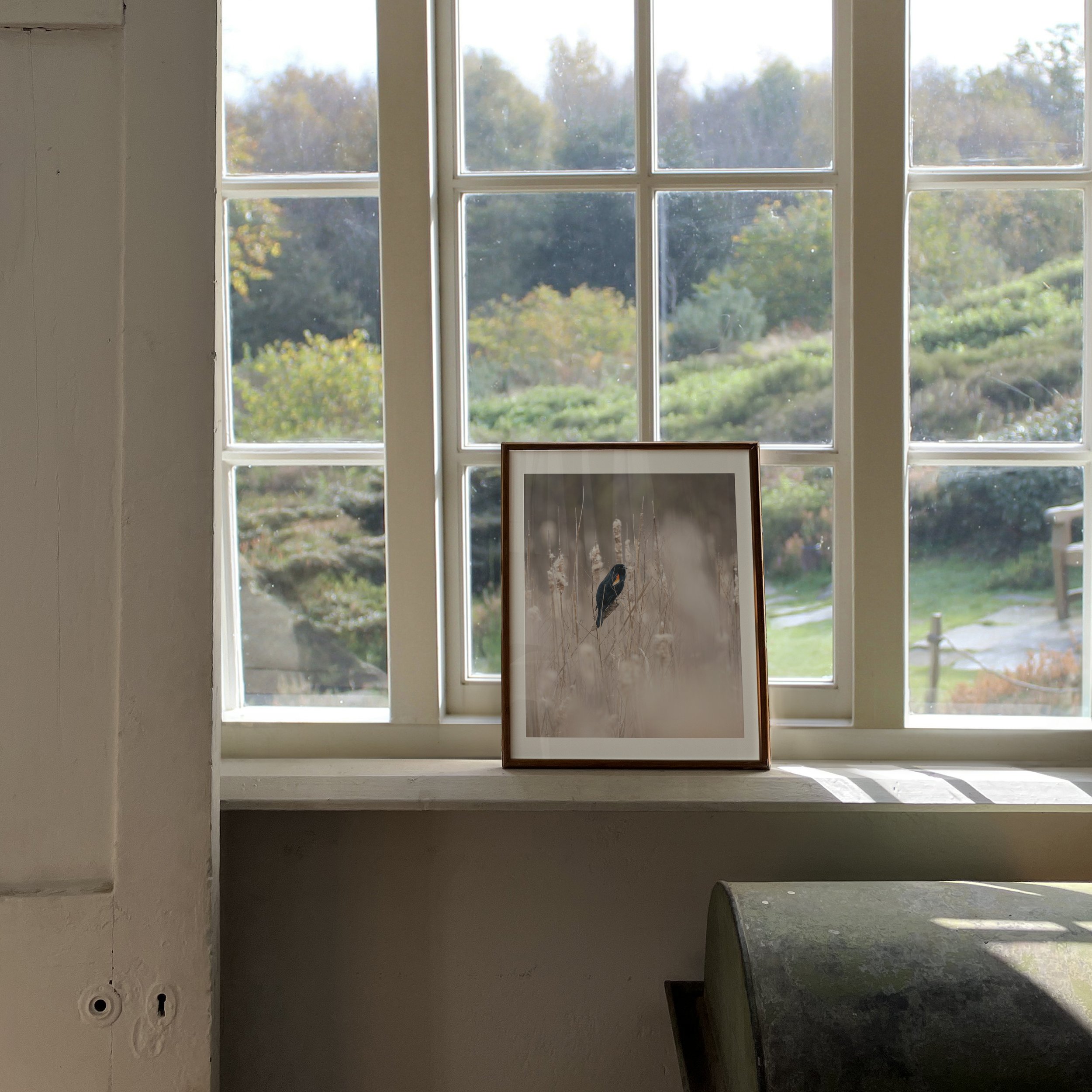 Red-Winged-Blackbird-in-Bulrushes_4x5-vertical-frame-countryside-0433 - SingleSmartObject.jpg