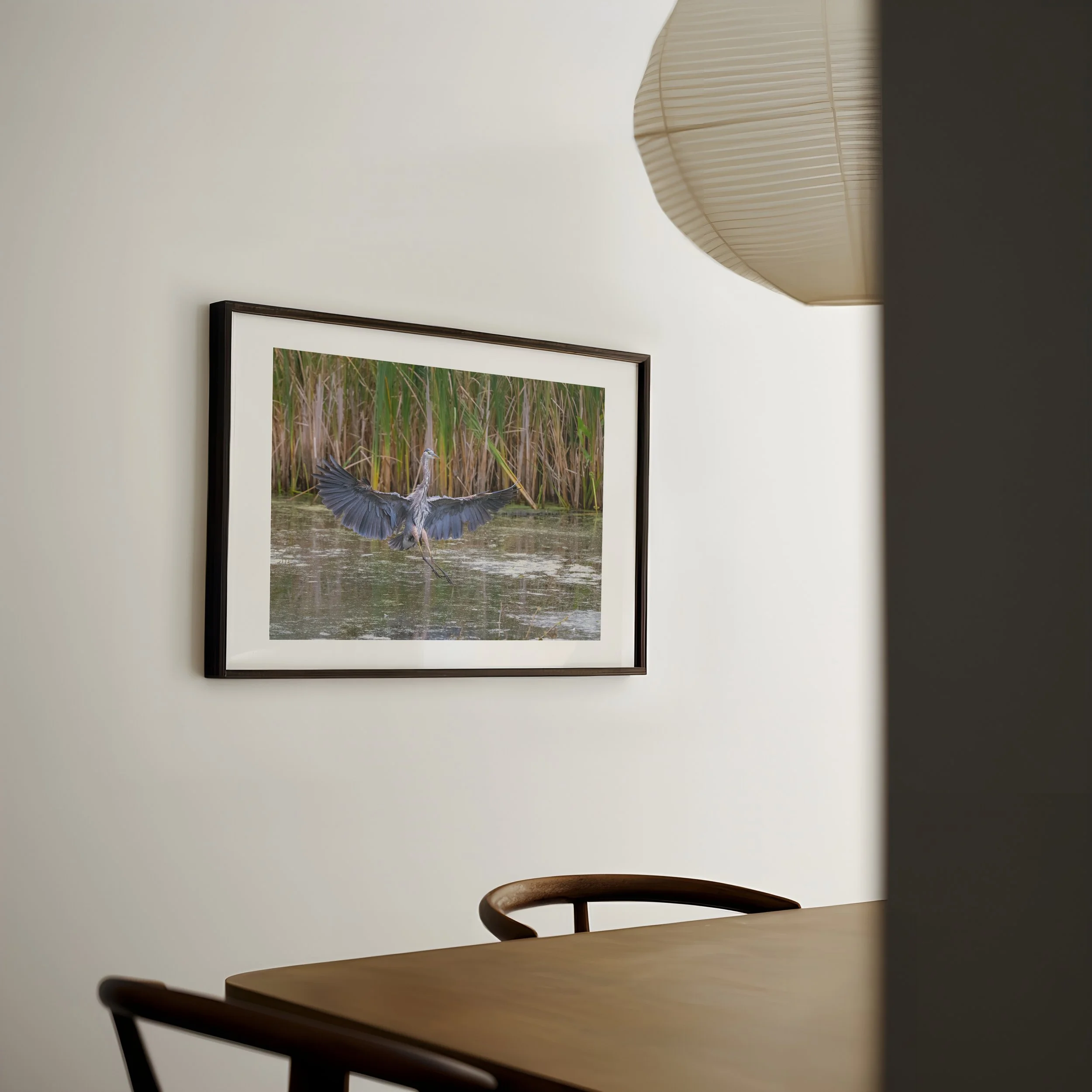 Great-Blue-Heron-Landing-in-Water_DIN-A-horizontal-japandi-dining-0451 - SingleSmartObject.jpg