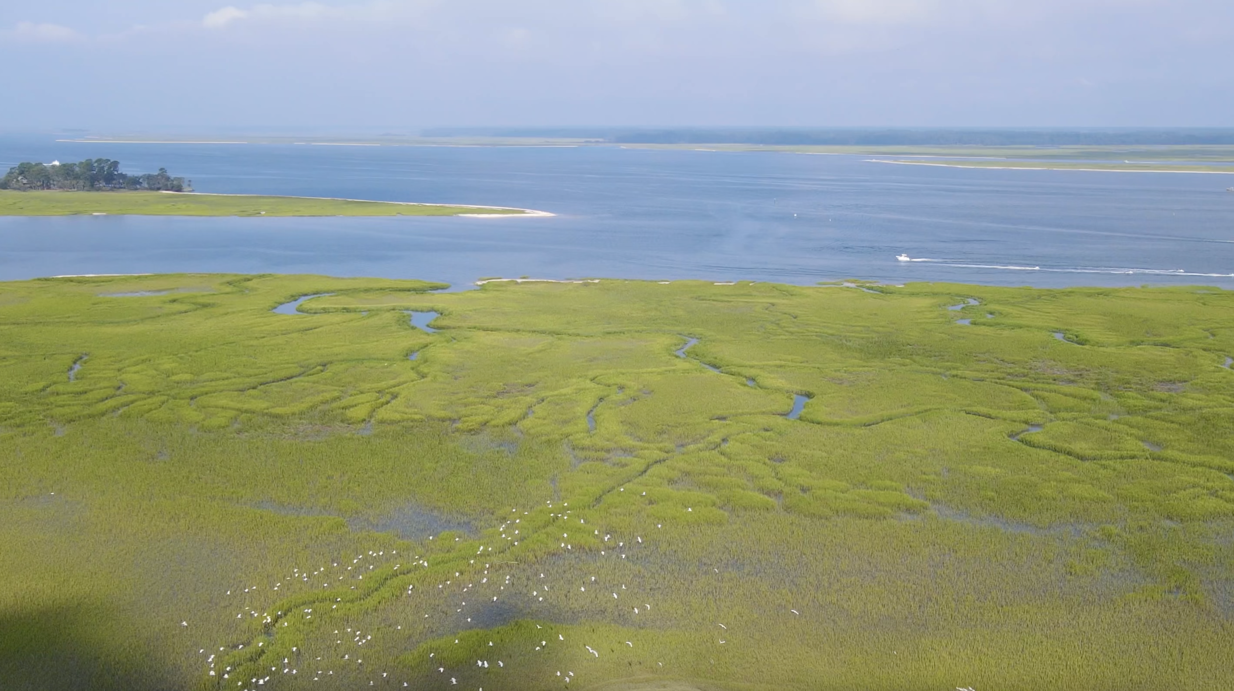 Screenshot 2024-04-11 at 8.51.07 PM.png