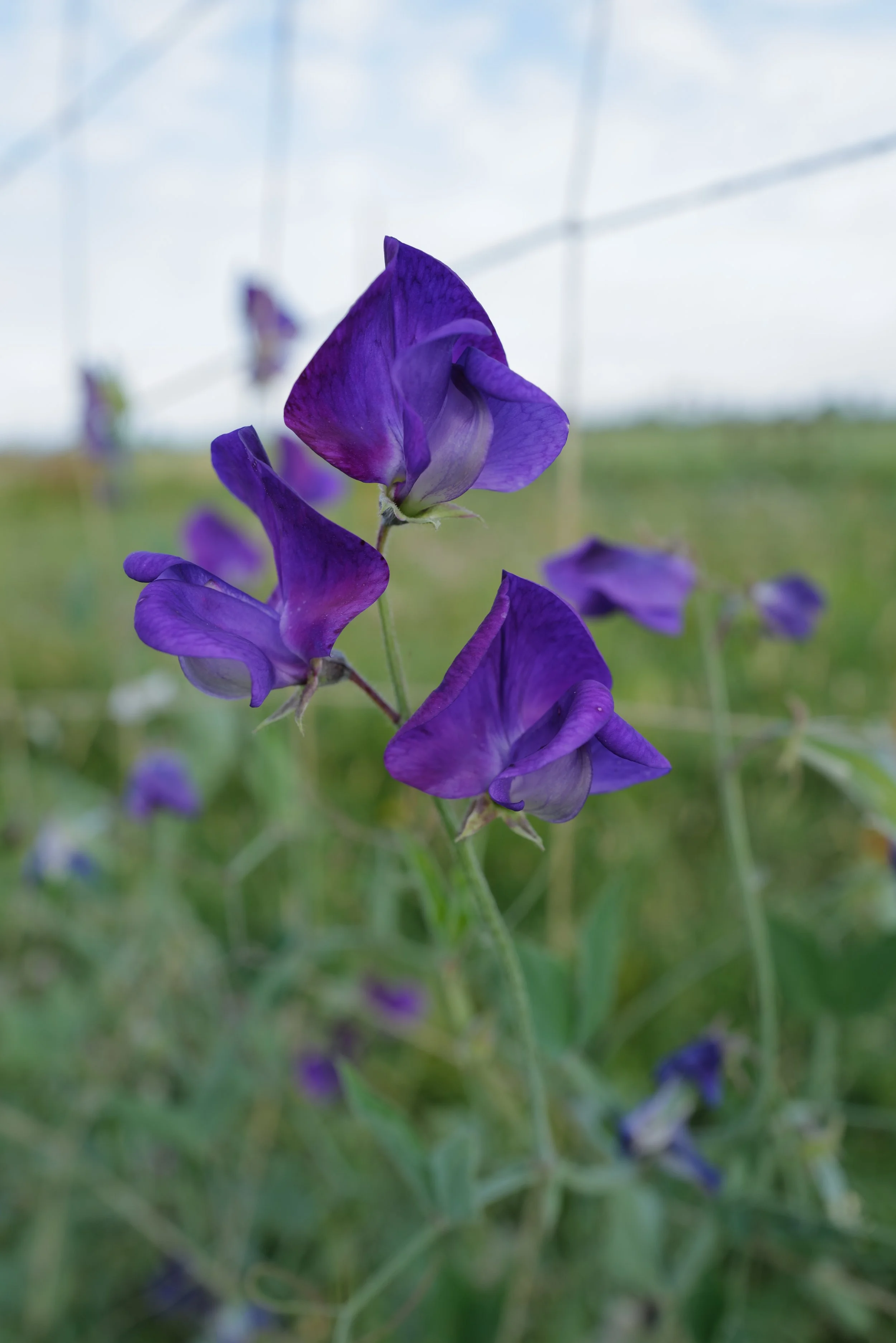 DO01020949.JPG