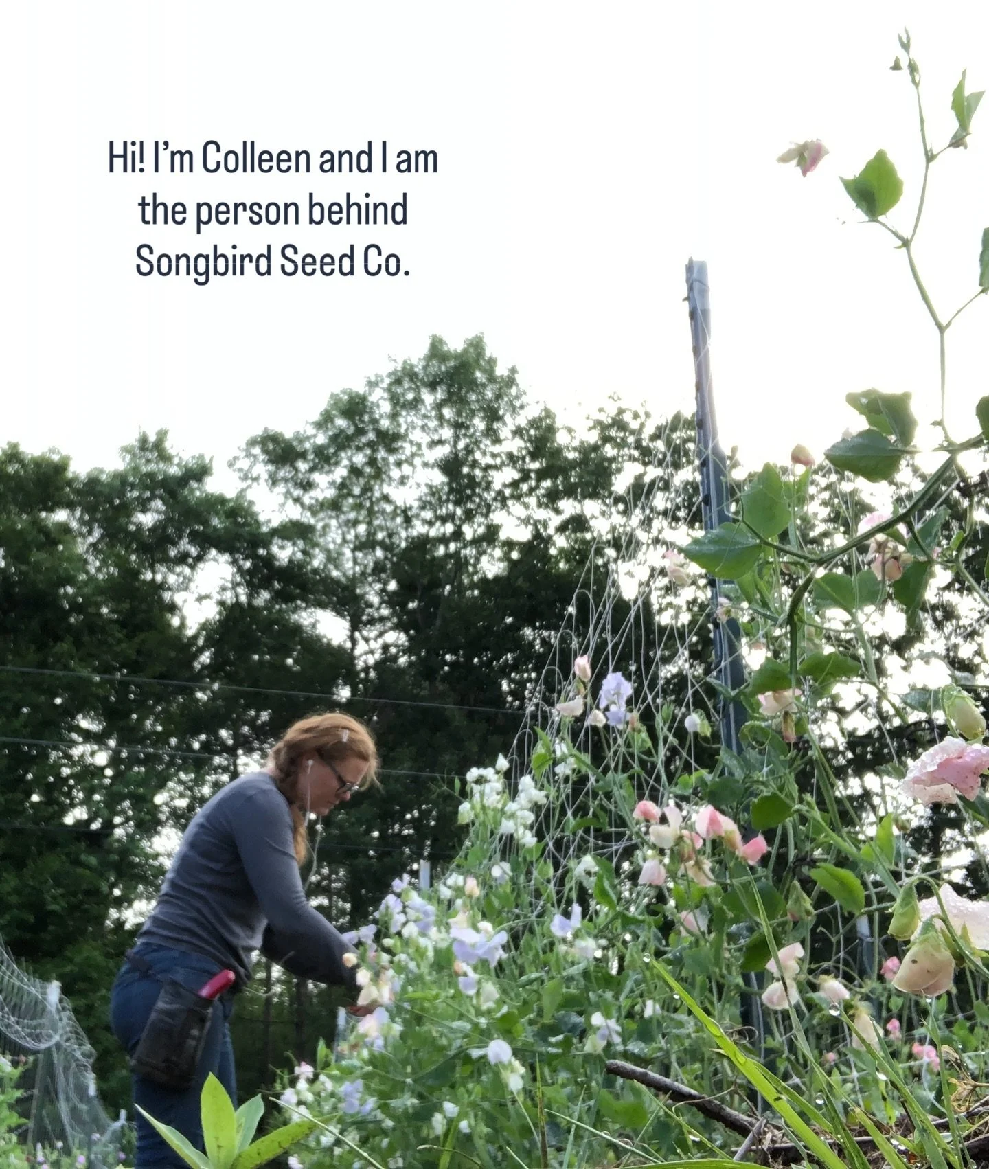 New here?  Hello and welcome!  Not new? Hello again!  With so many new folks joining us, I thought I&rsquo;d take a second and put a face and a life behind the photos.

Thanks for being here!

PS. I forgot to mention that my husband and I are both fr