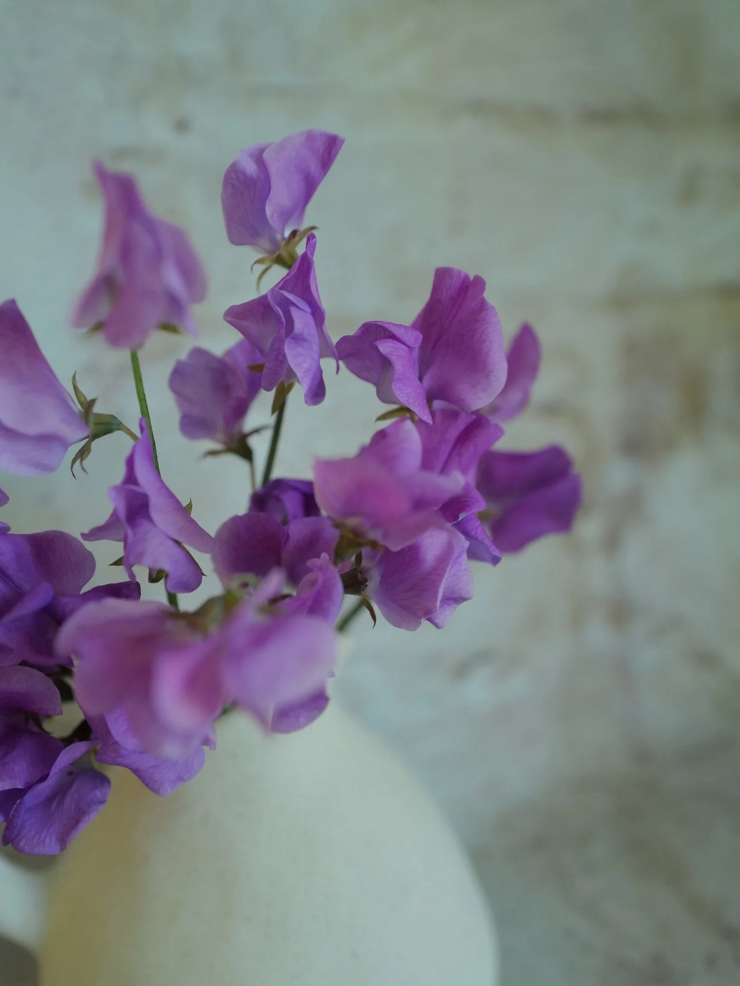 The blue part of Dr. Keith Hammett&rsquo;s Turquoise Lagoon gets a lot of press - for very good reason - but I think we need to have a moment for the color that starts the whole process.

For those who haven&rsquo;t done a deep dive, as the pH in the