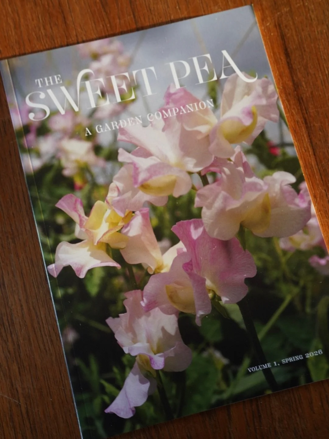 It&rsquo;s here!

After months of talking, planning, writing, designing, editing, and even a little bit of panicking (oh hello imposter syndrome, how are you today), it&rsquo;s finally time to tell you about a brand new periodical.

I am very pleased