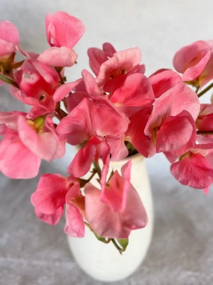 One of the trickiest things about photographing flowers is that the camera does not see things the same way the eye does. So adjustments have to be made to match what real life looks like. This is no place for a filter. For me, anything in the coral 