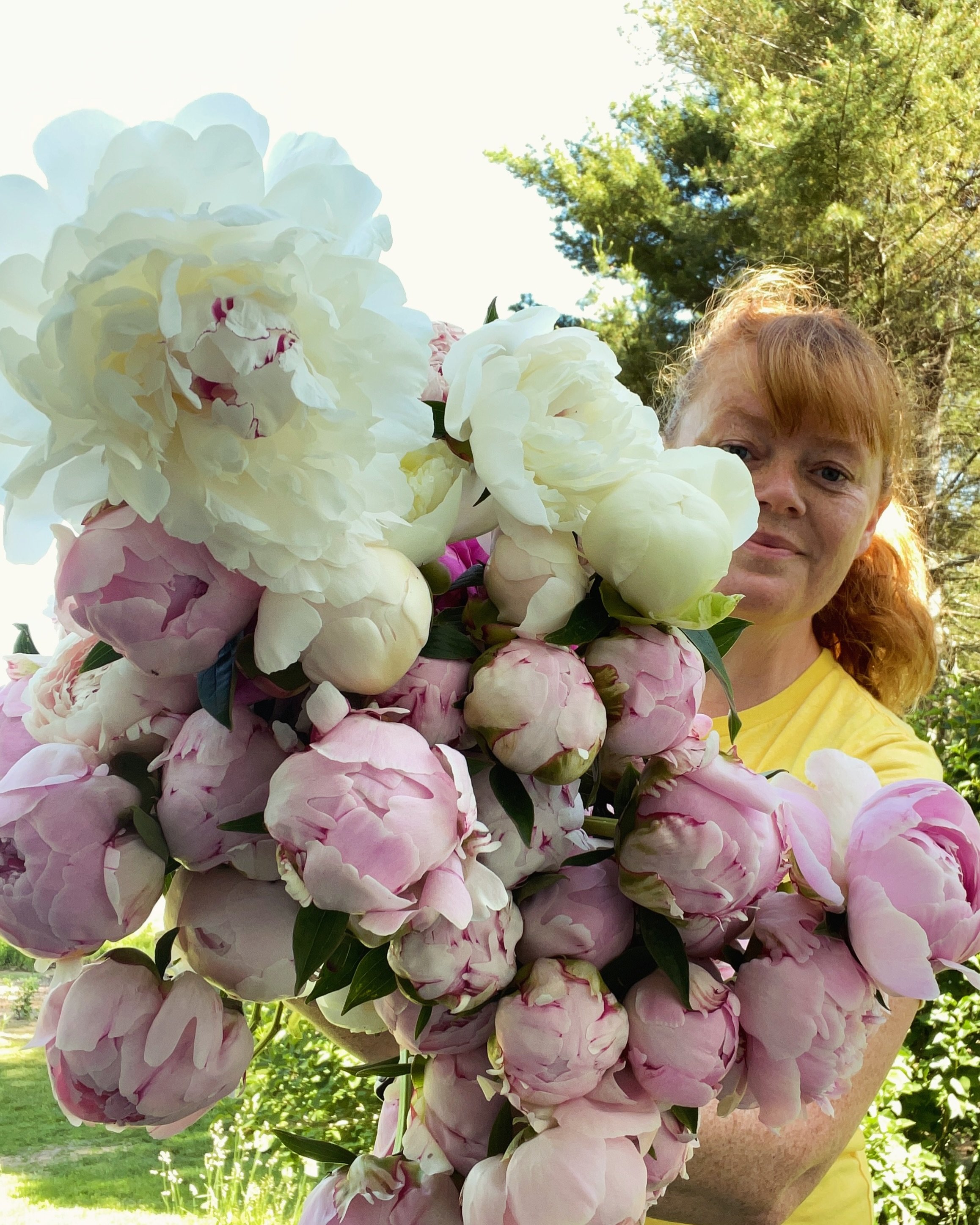 A temporary detour from the sweet pea party to remind you that this is the final year I&rsquo;ll be offering bare root peonies for purchase. I&rsquo;ve picked out some of my favorites and they are in the shop ready for you to add to your own farm or 