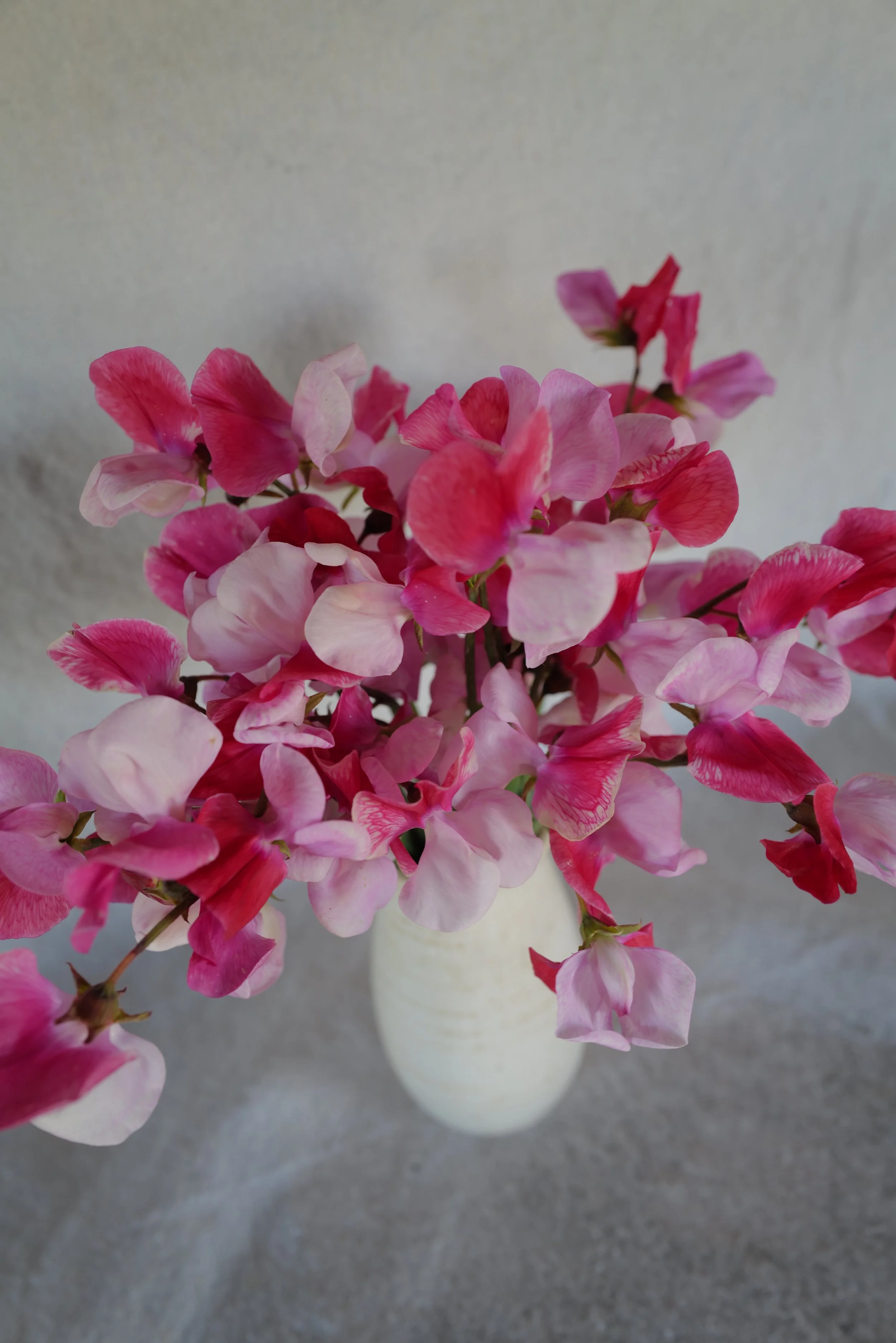 DO01020127.JPG