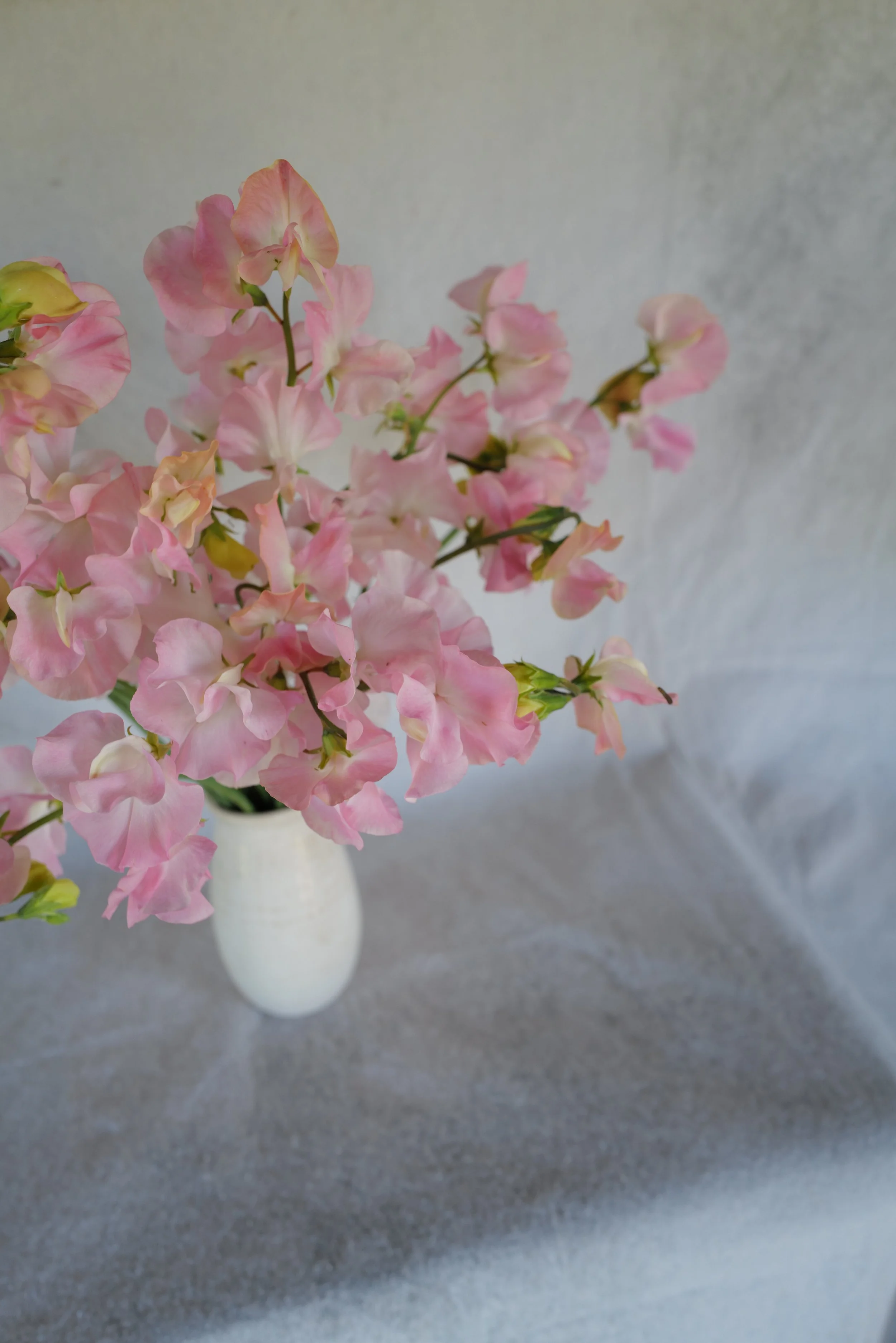 DO01020122.JPG