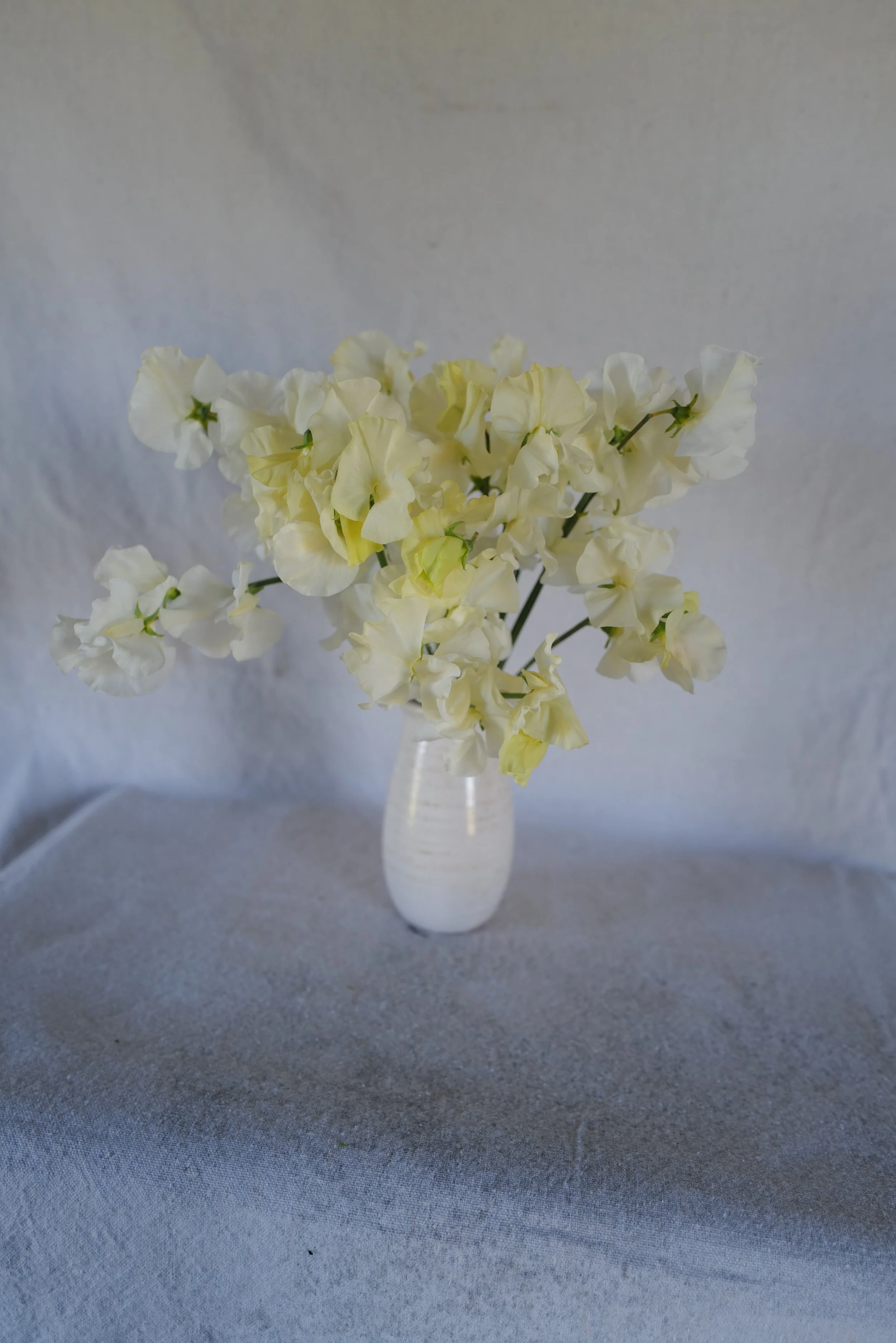 Castle of Mey6.JPG