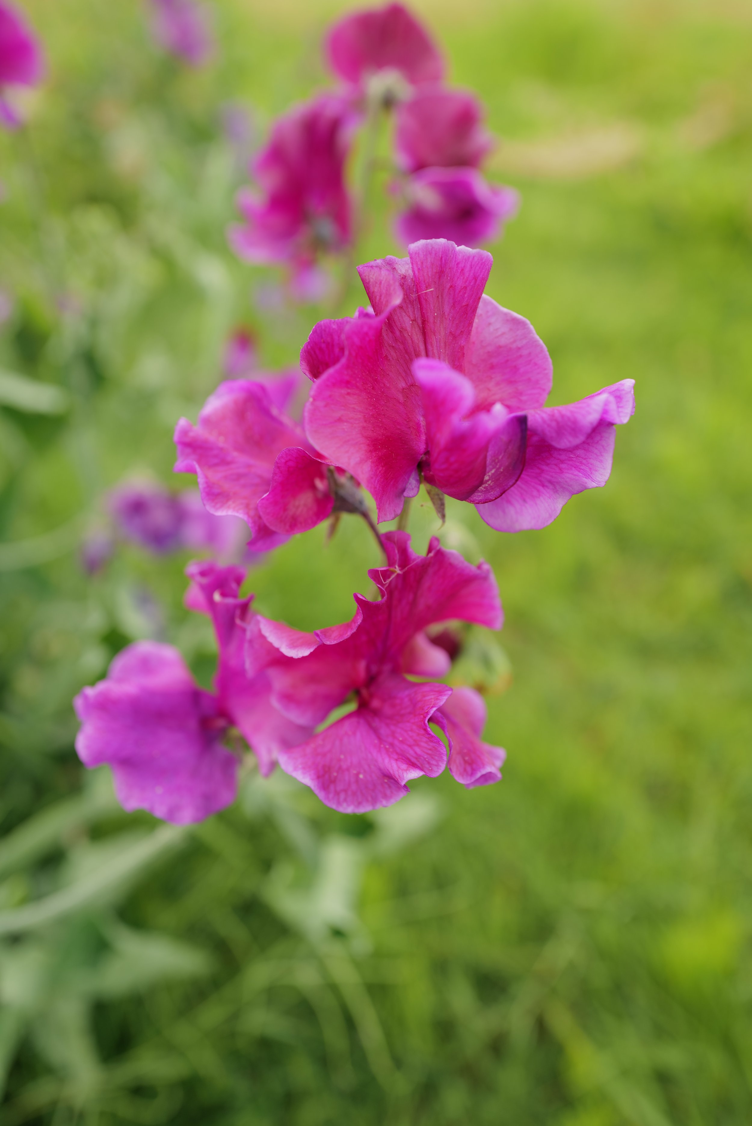 L1020504.JPG