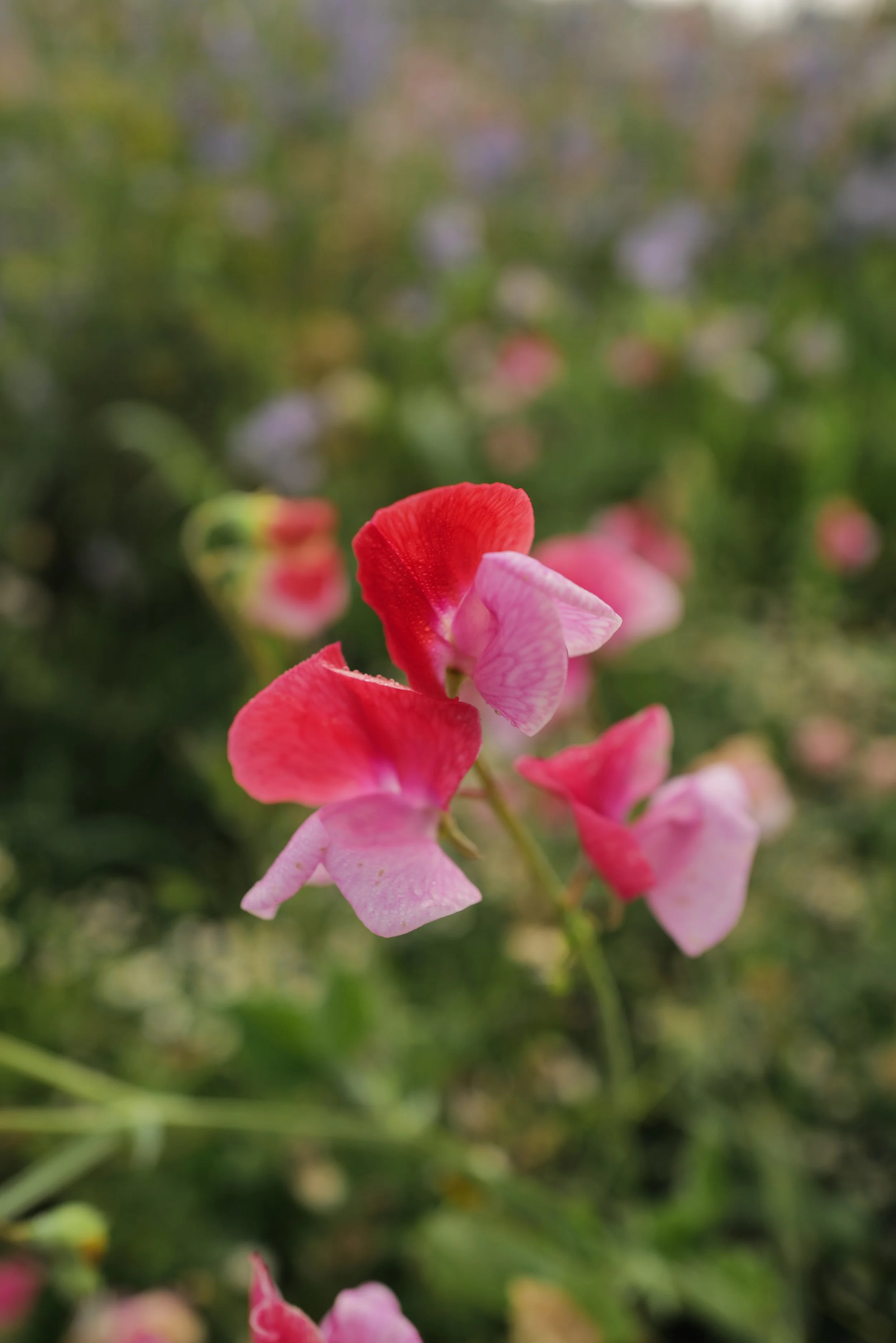 DO01020918.JPG