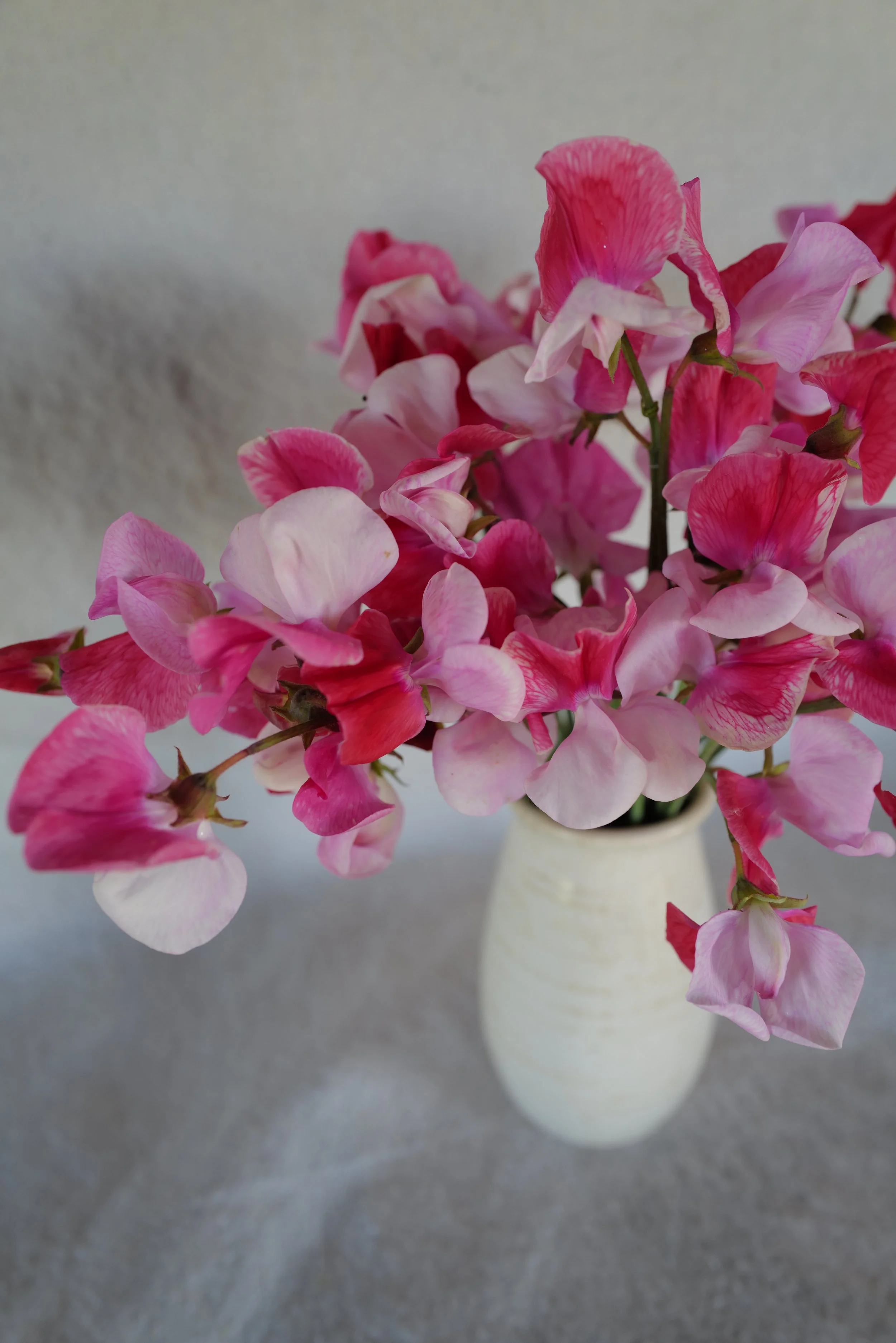 DO01020126.JPG
