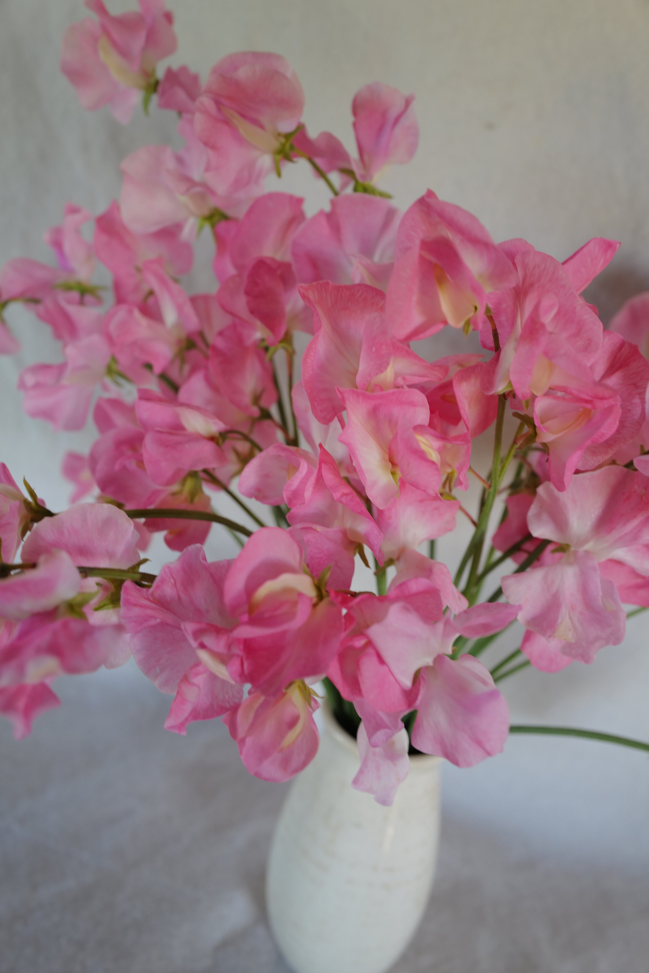 DO01020131.JPG