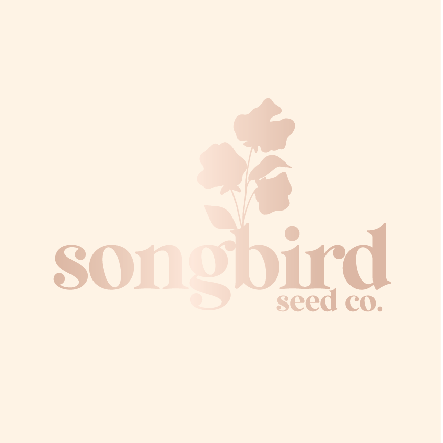 songbird brand.png (Copy)