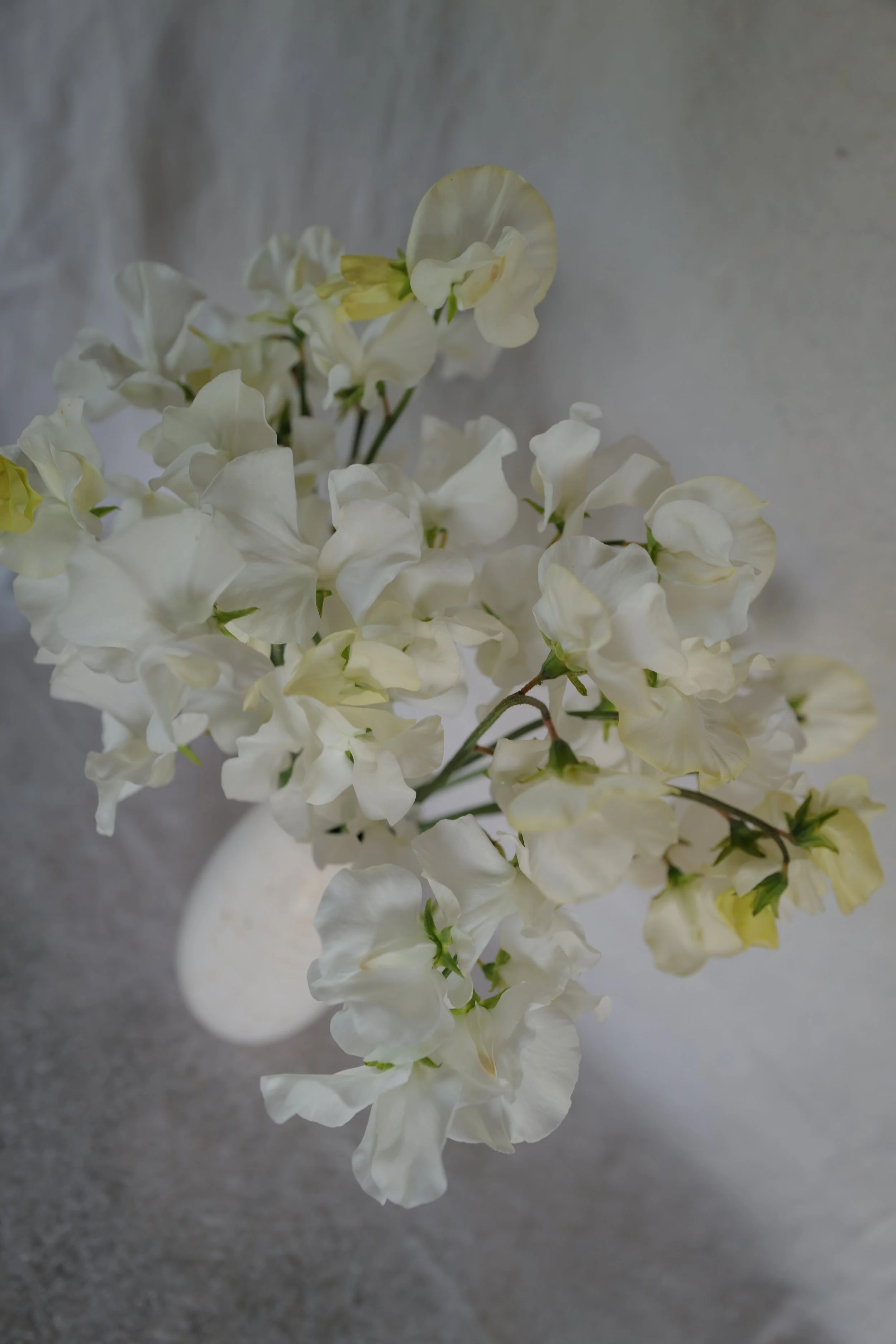 Wedding Day7.JPG