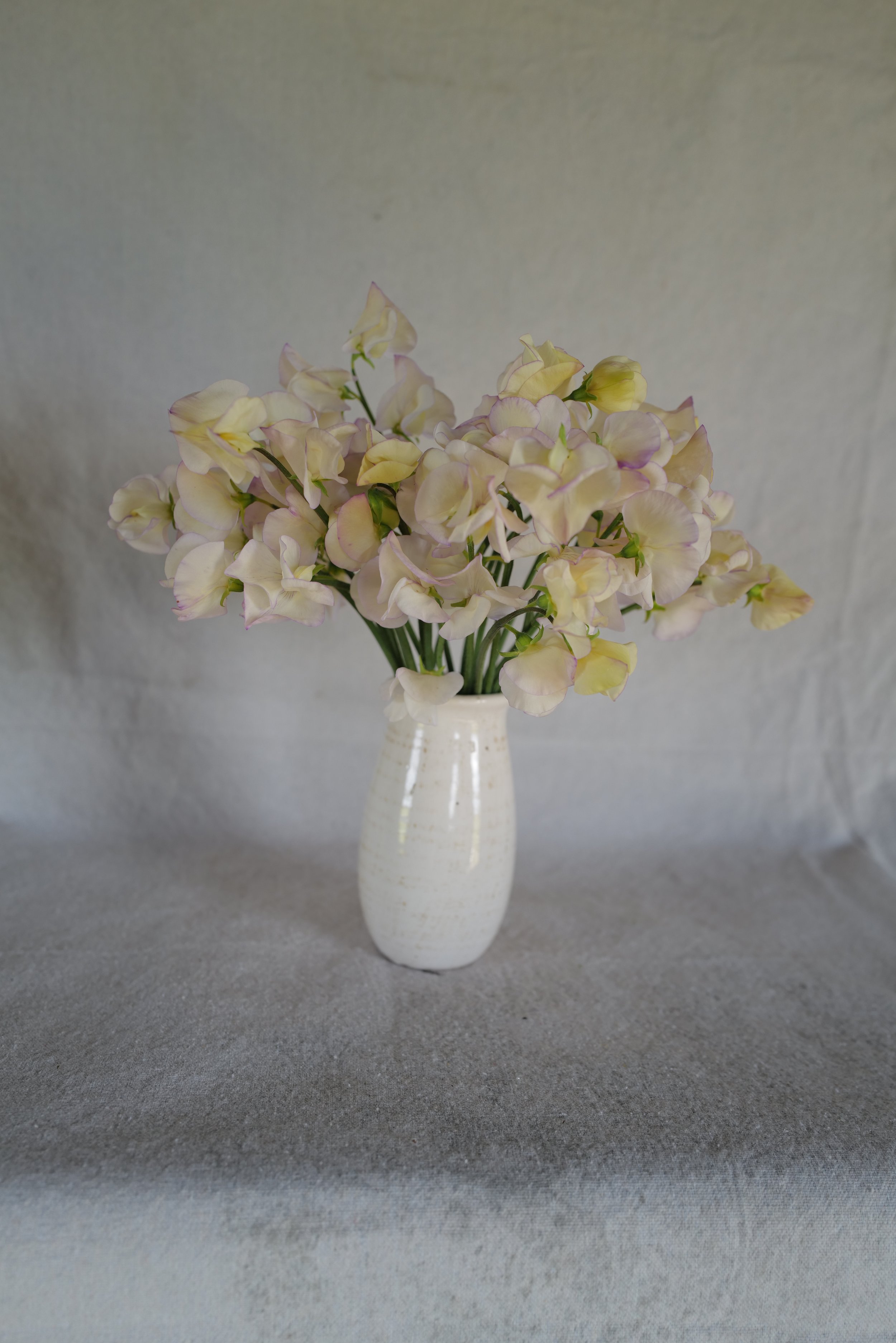 High Scent13.JPG