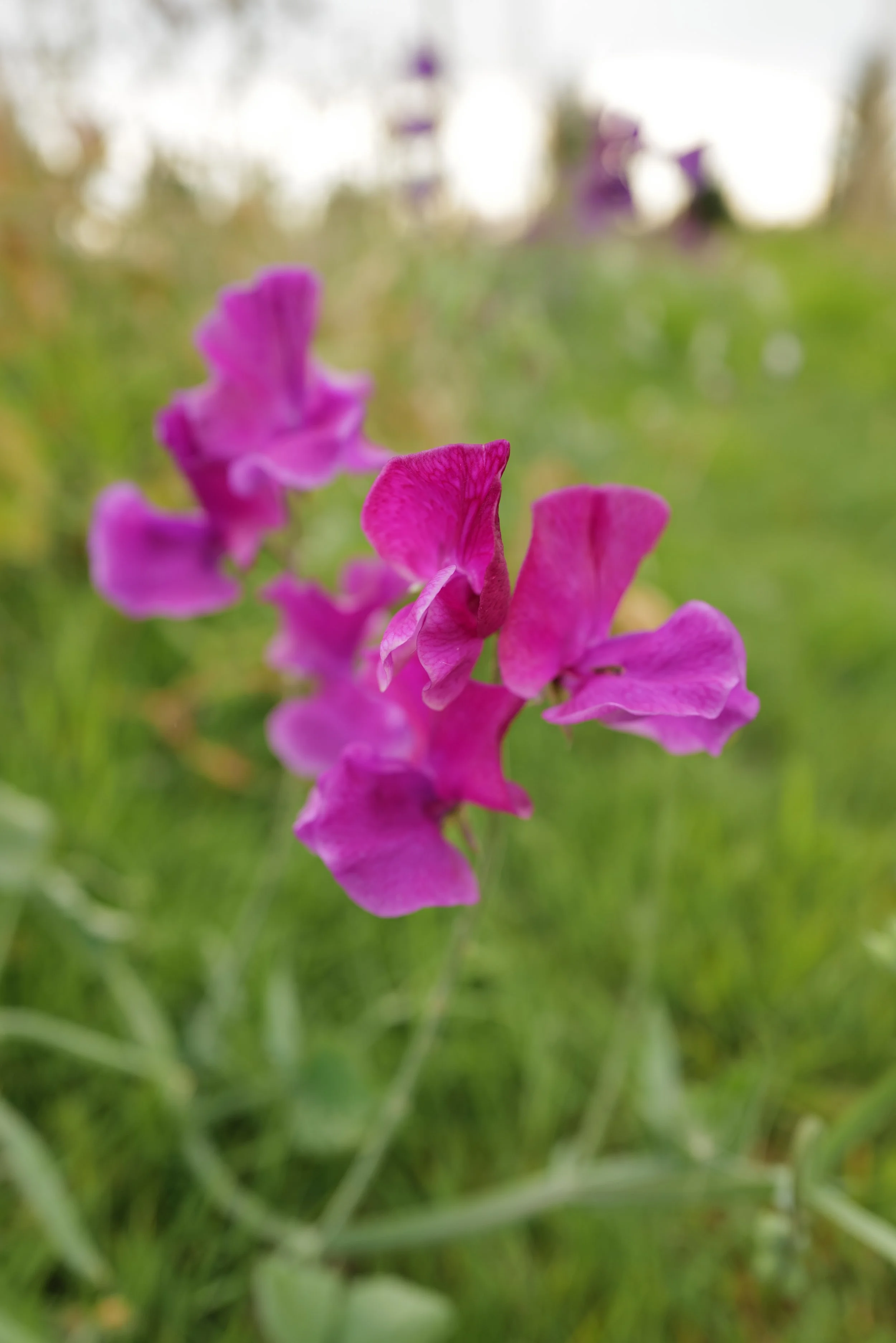 L1020502.JPG