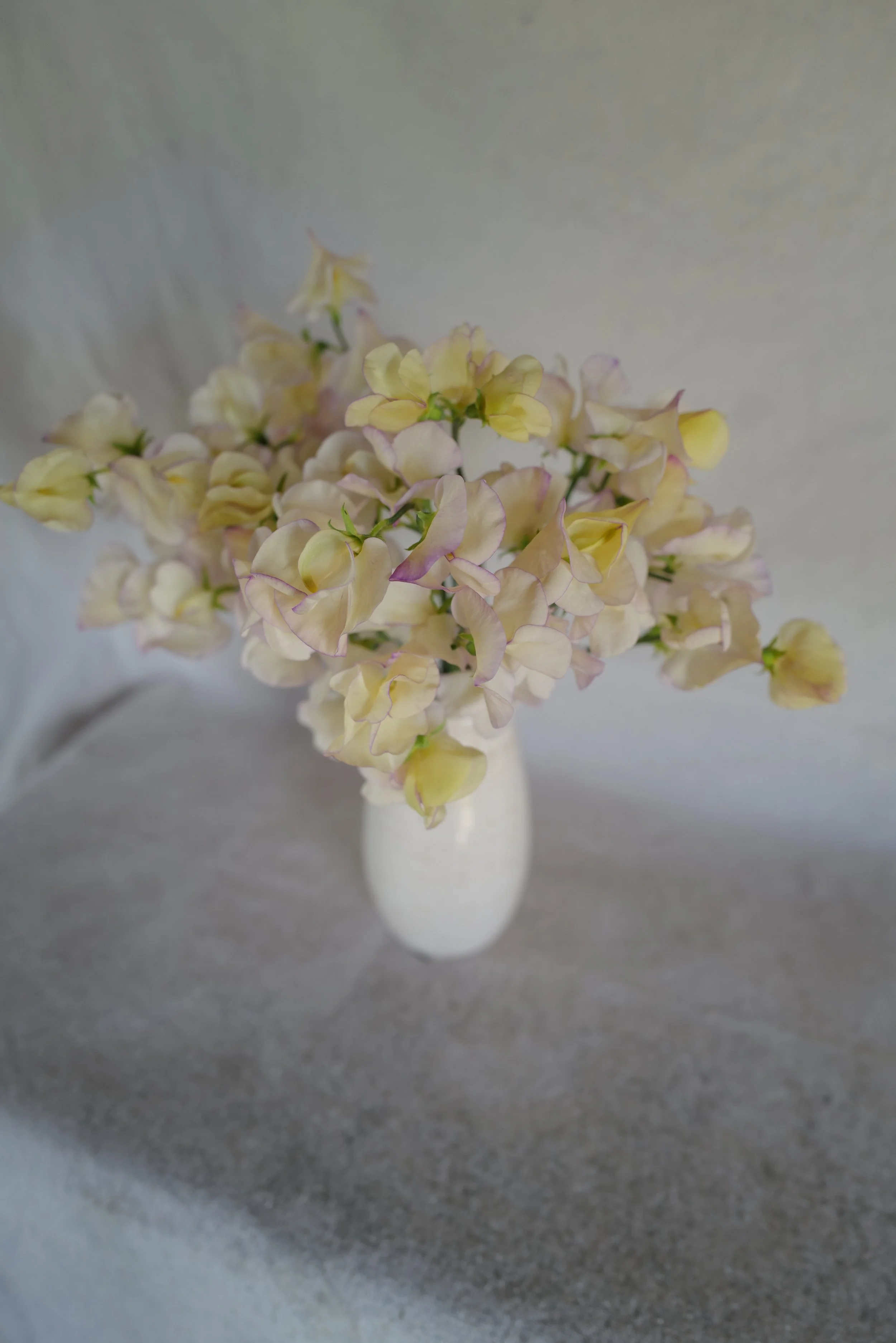 High Scent9.JPG