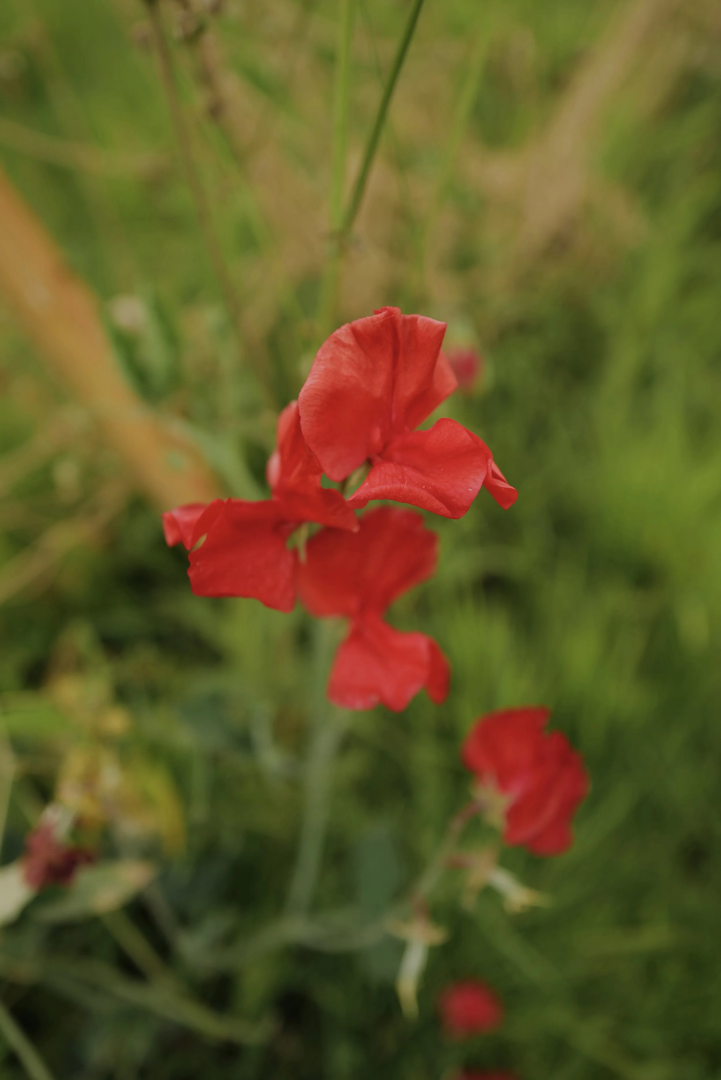 L1020541.JPG