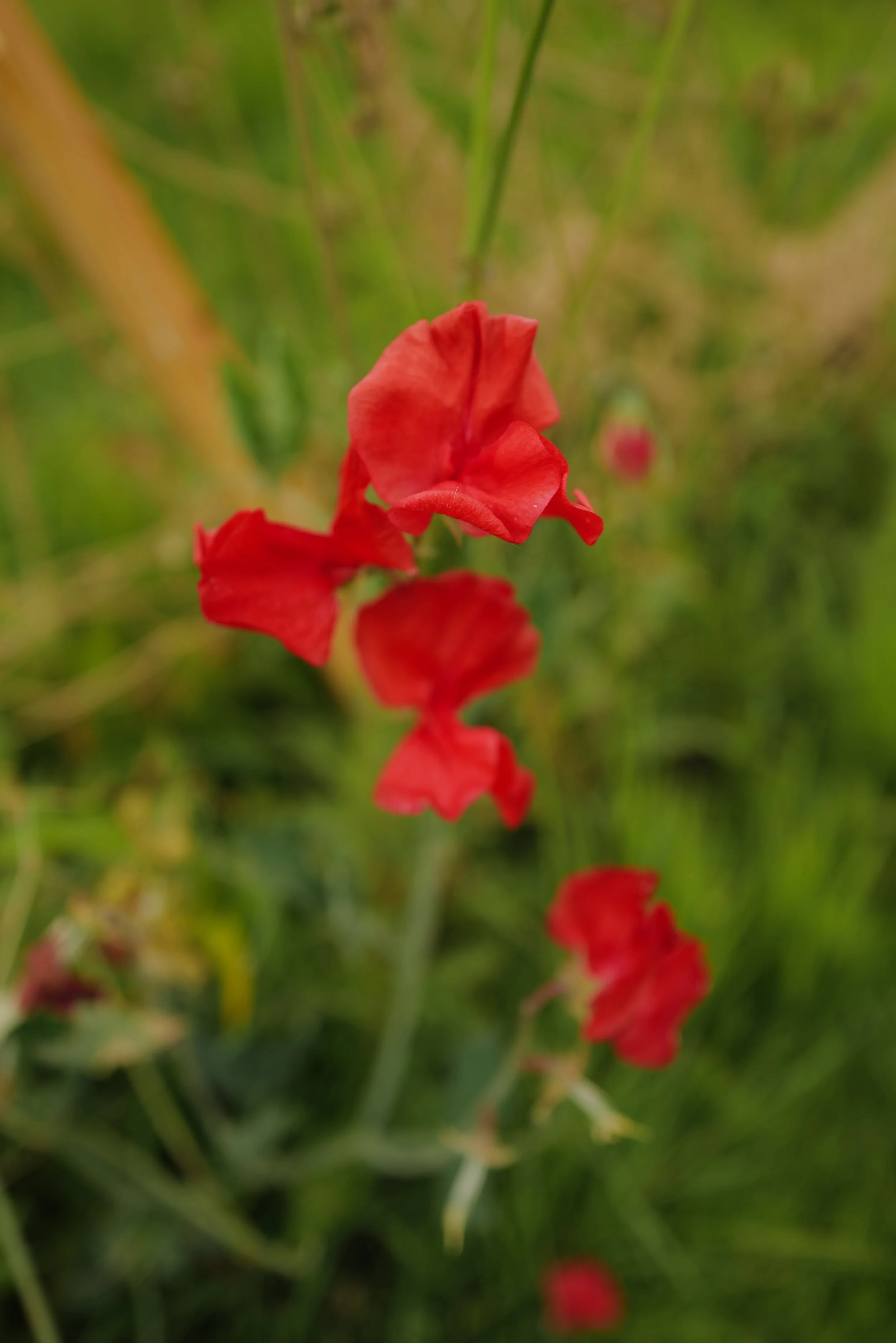 L1020539.JPG