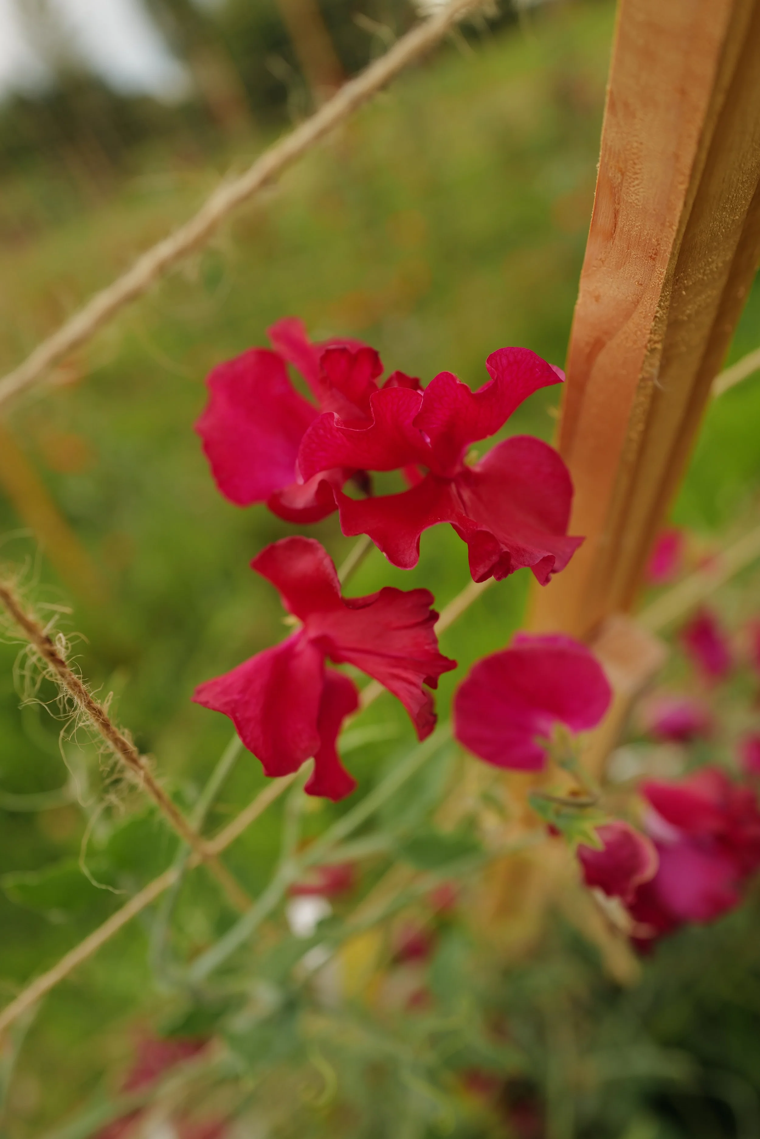 L1020561.JPG