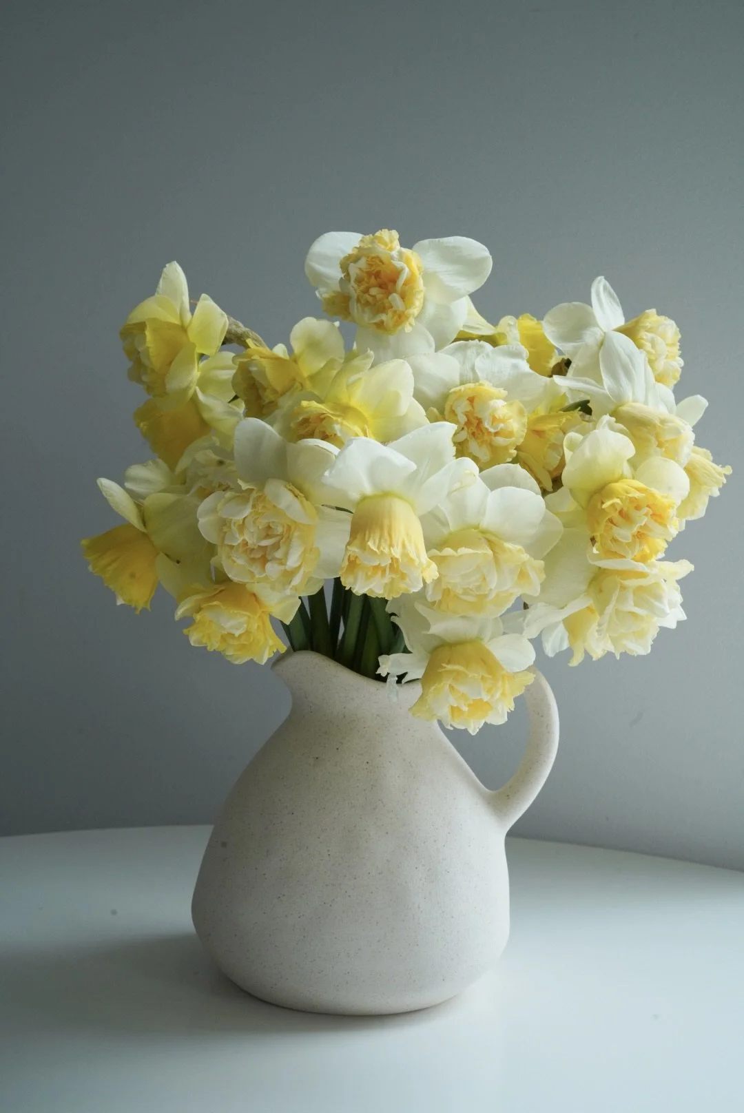Daffodil Art Design