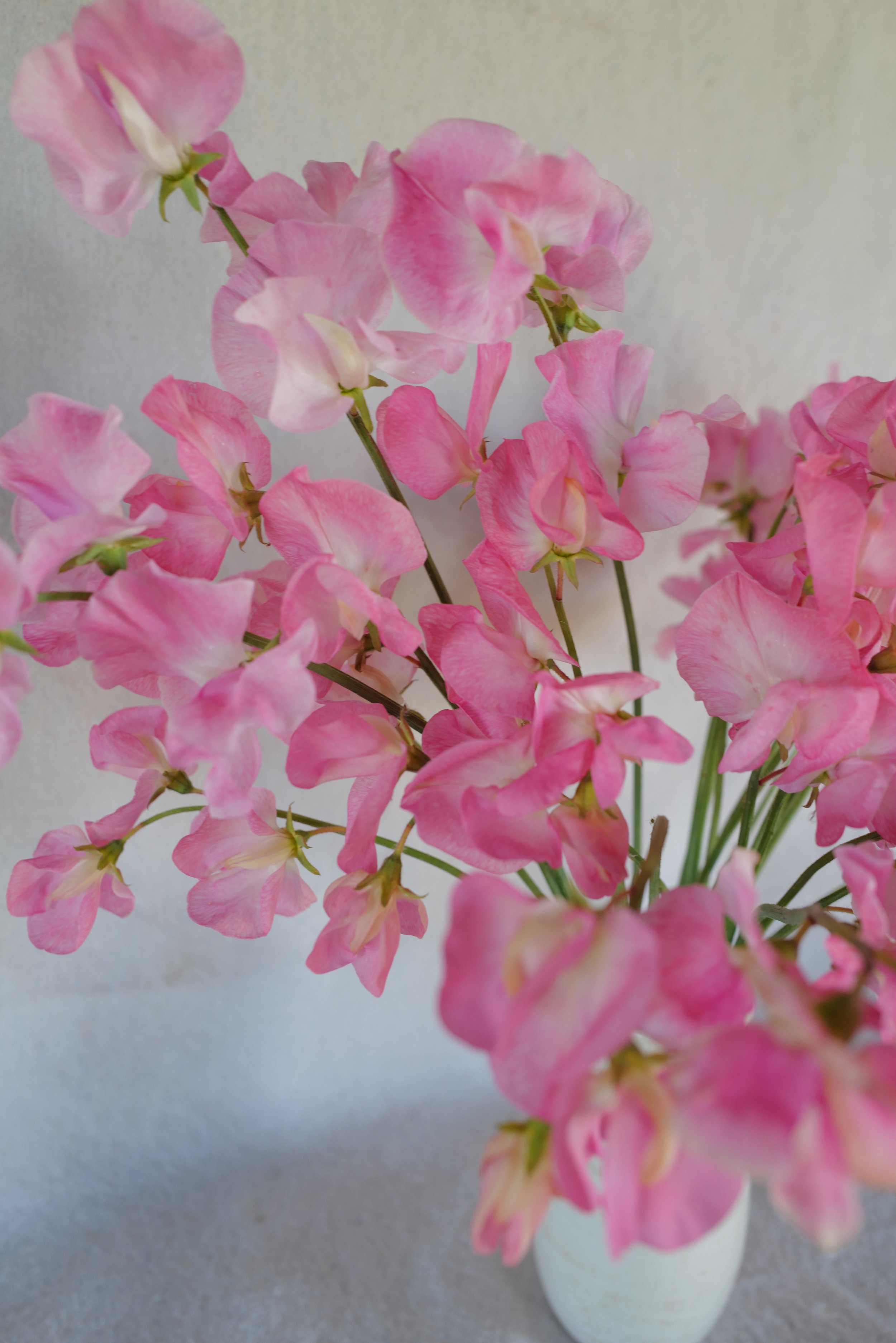 DO01020130.JPG
