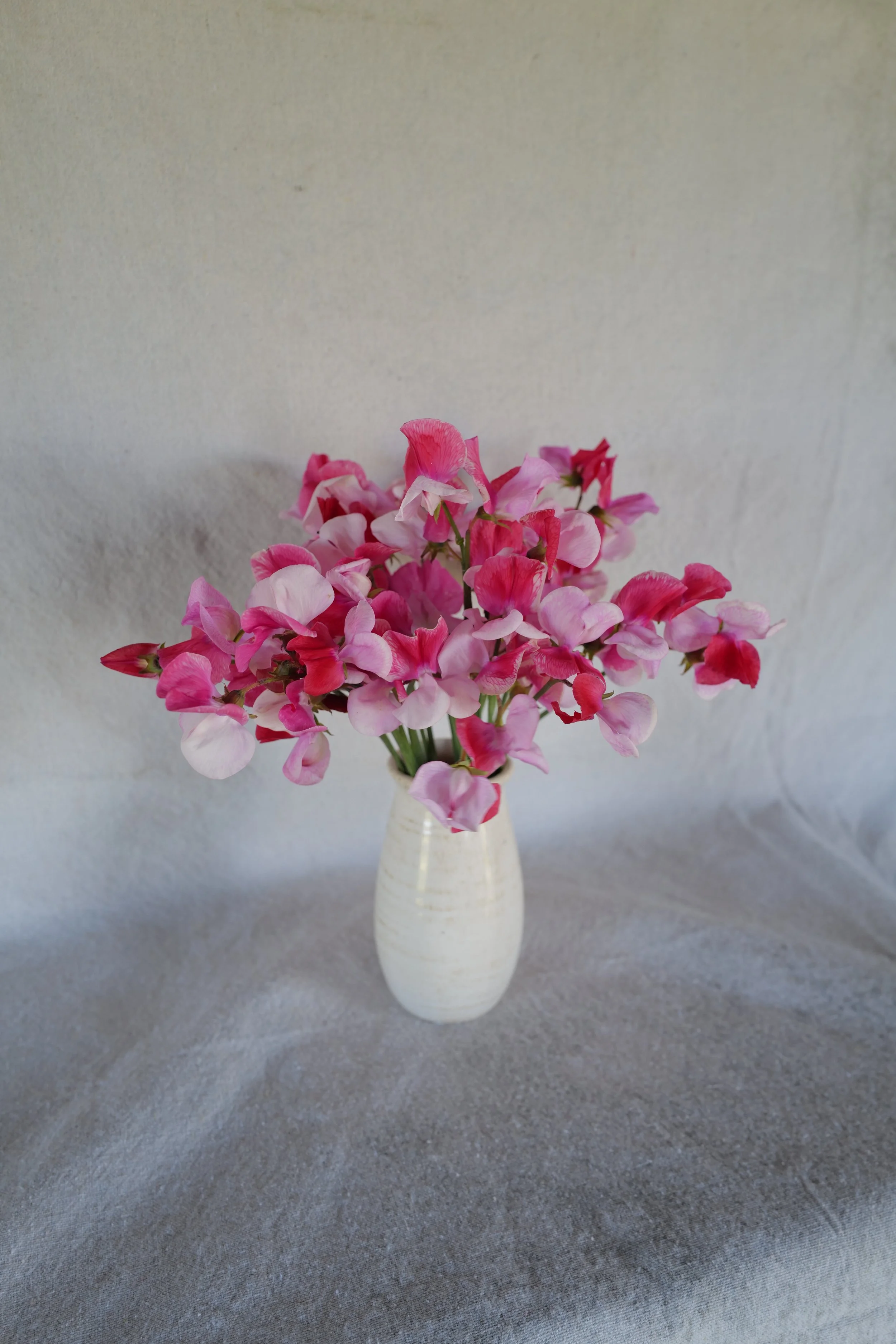 DO01020123.JPG