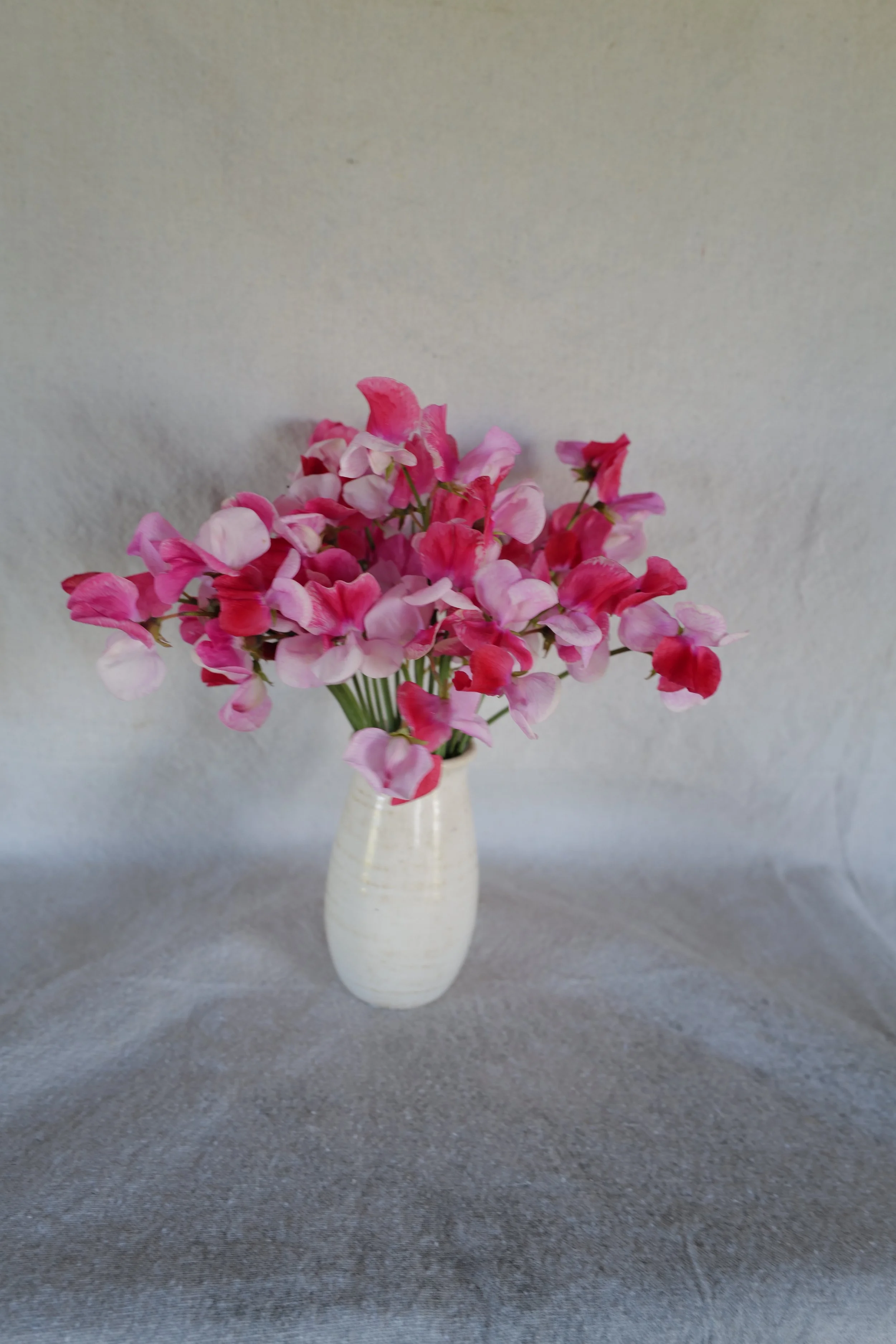 DO01020124.JPG