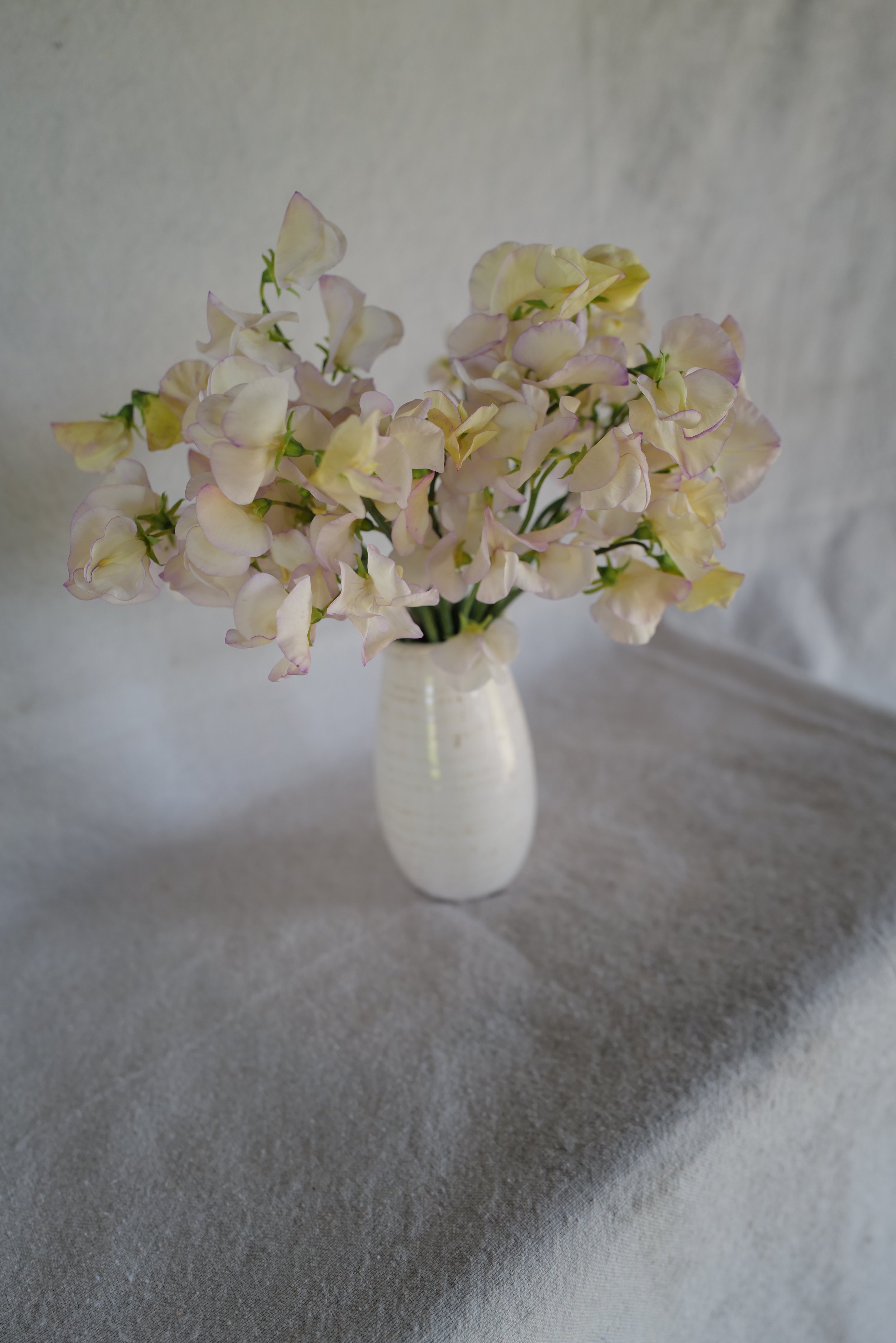 High Scent10.JPG