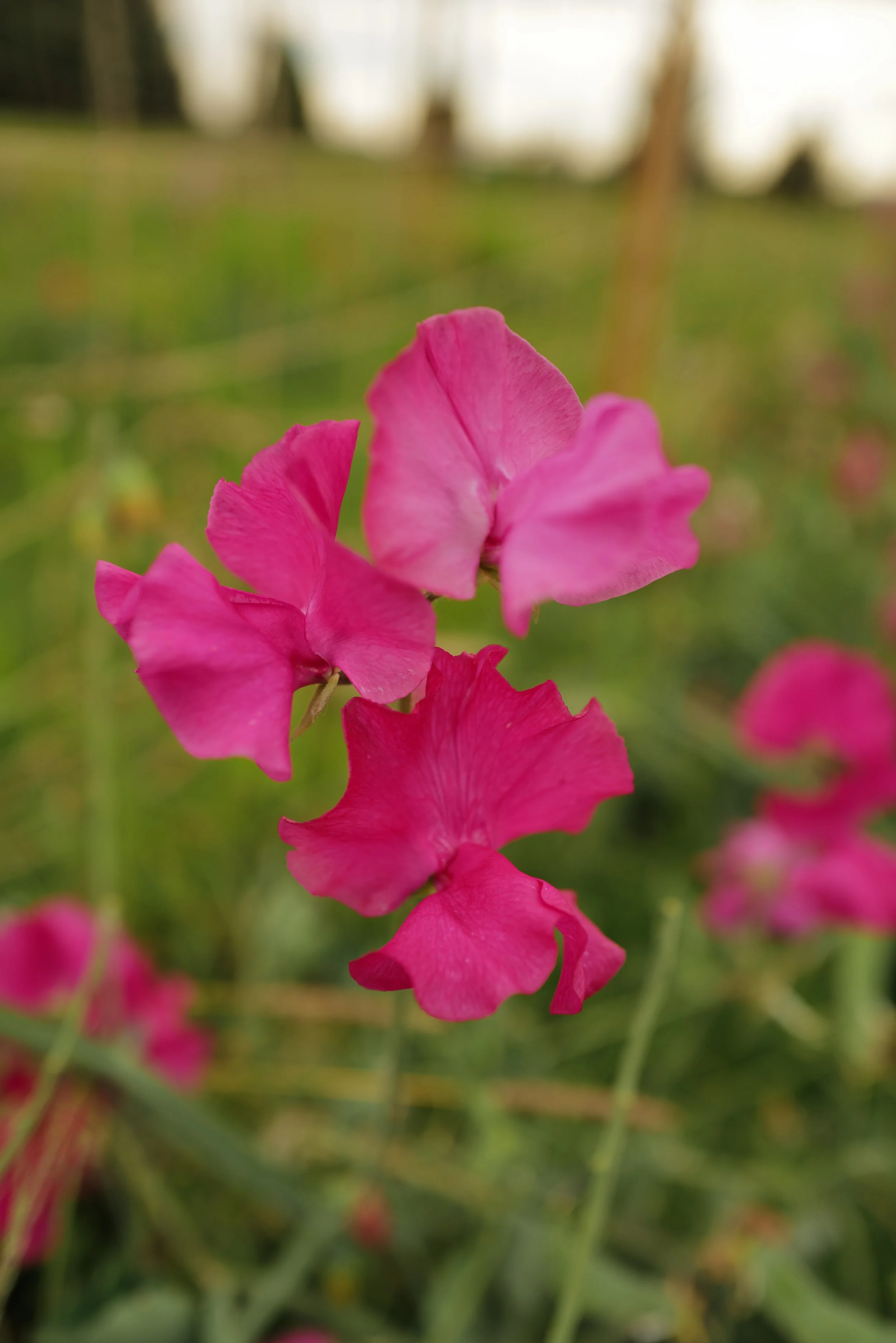 L1020530.JPG