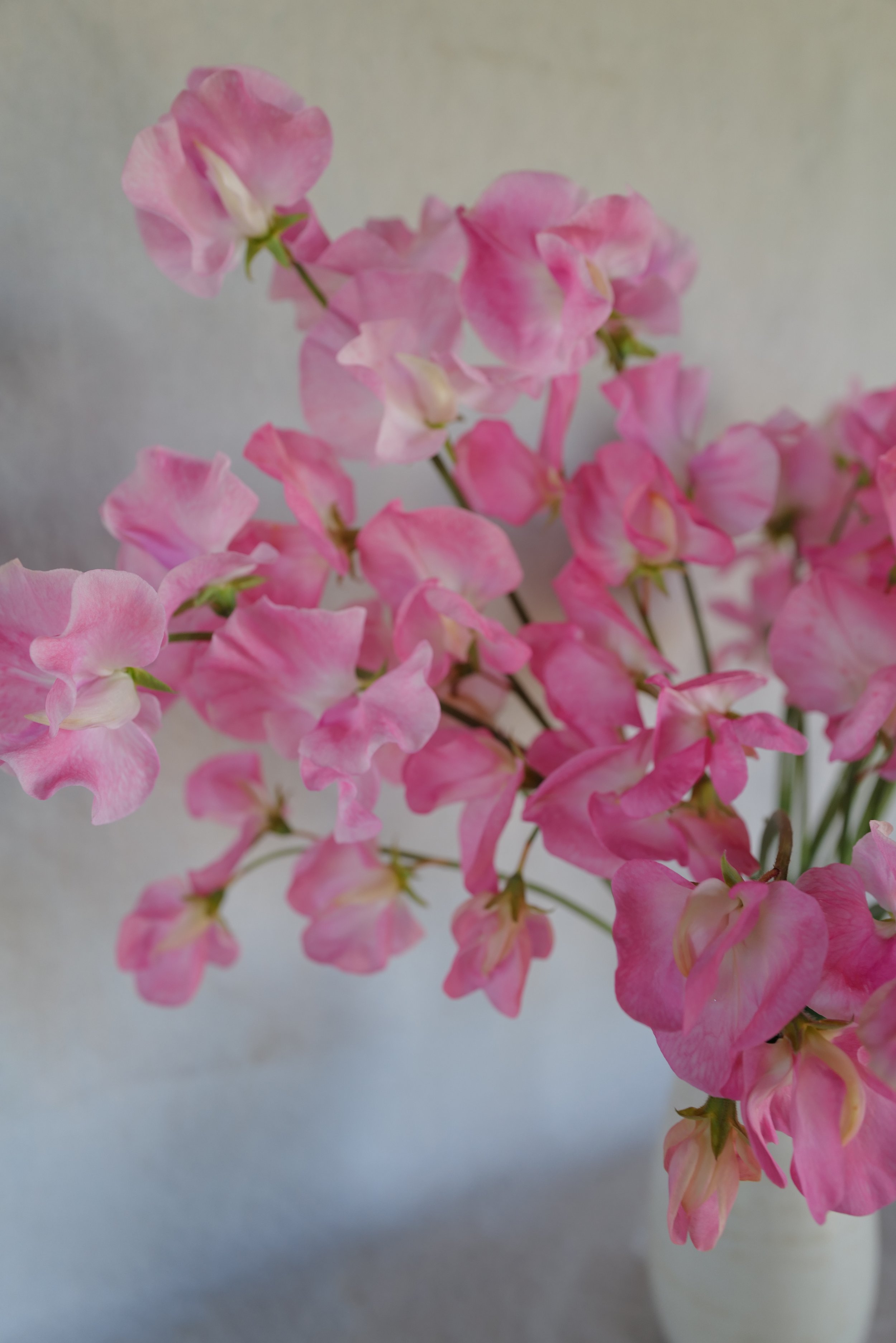 DO01020132.JPG