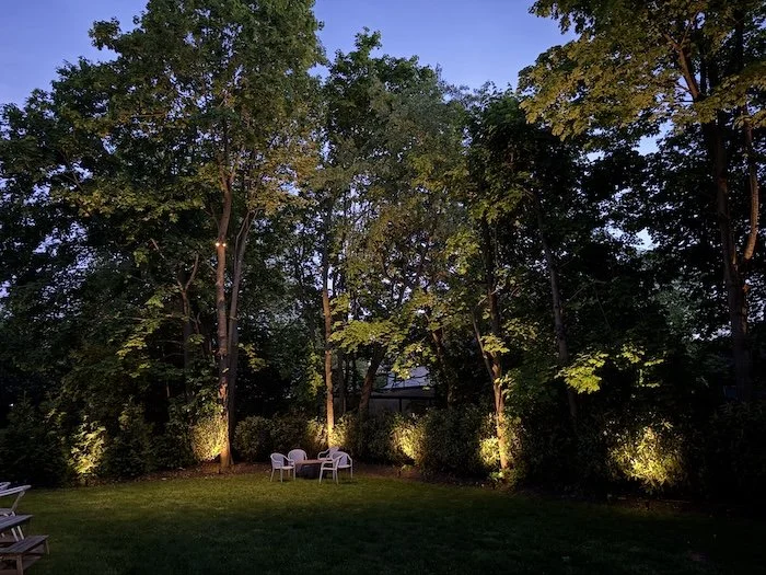 Tree-mounted moonlighting in a Long Island backyard casts a soft natural glow across the lawn, complemented by uplighting that highlights surrounding trees. Location: Williston Park, NY.