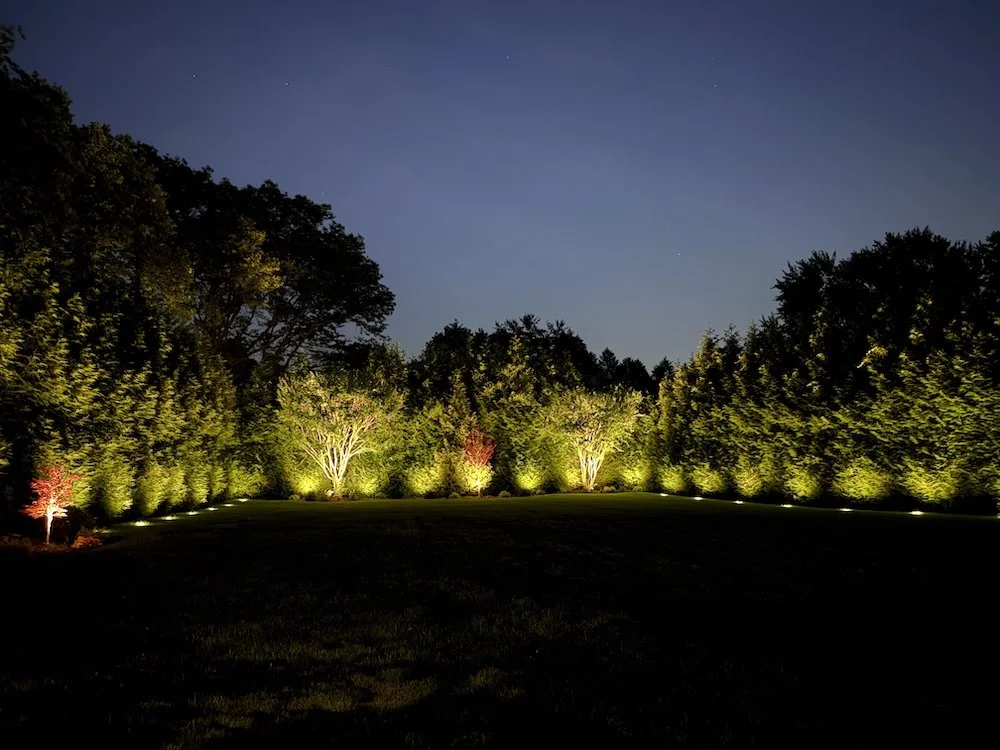 In-ground well lights illuminating a row of privacy hedges at twilight, creating a soft glow against tall trees and a dark sky in Dix Hills, NY.