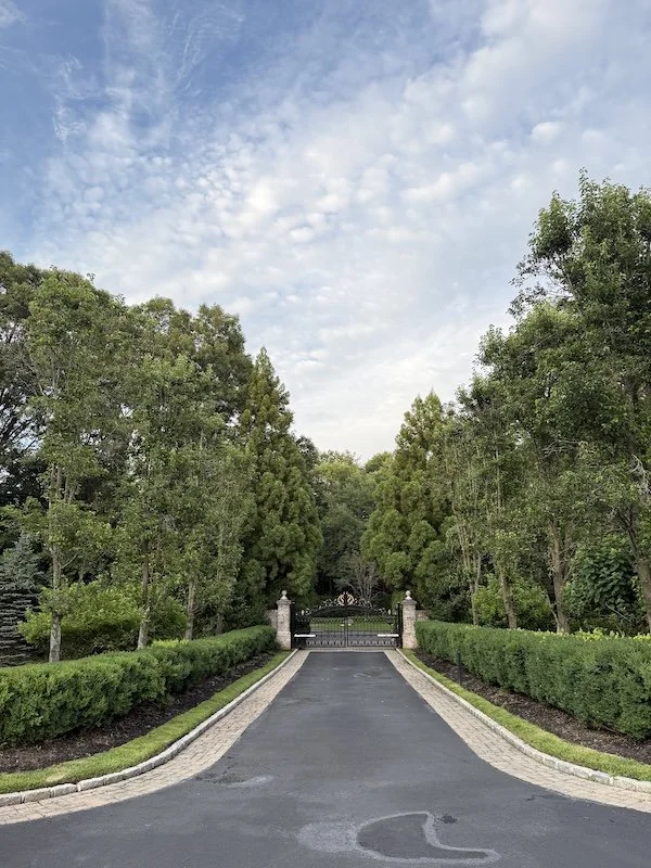 Long driveway lined with mature trees on Long Island. extensive landscaped gardens