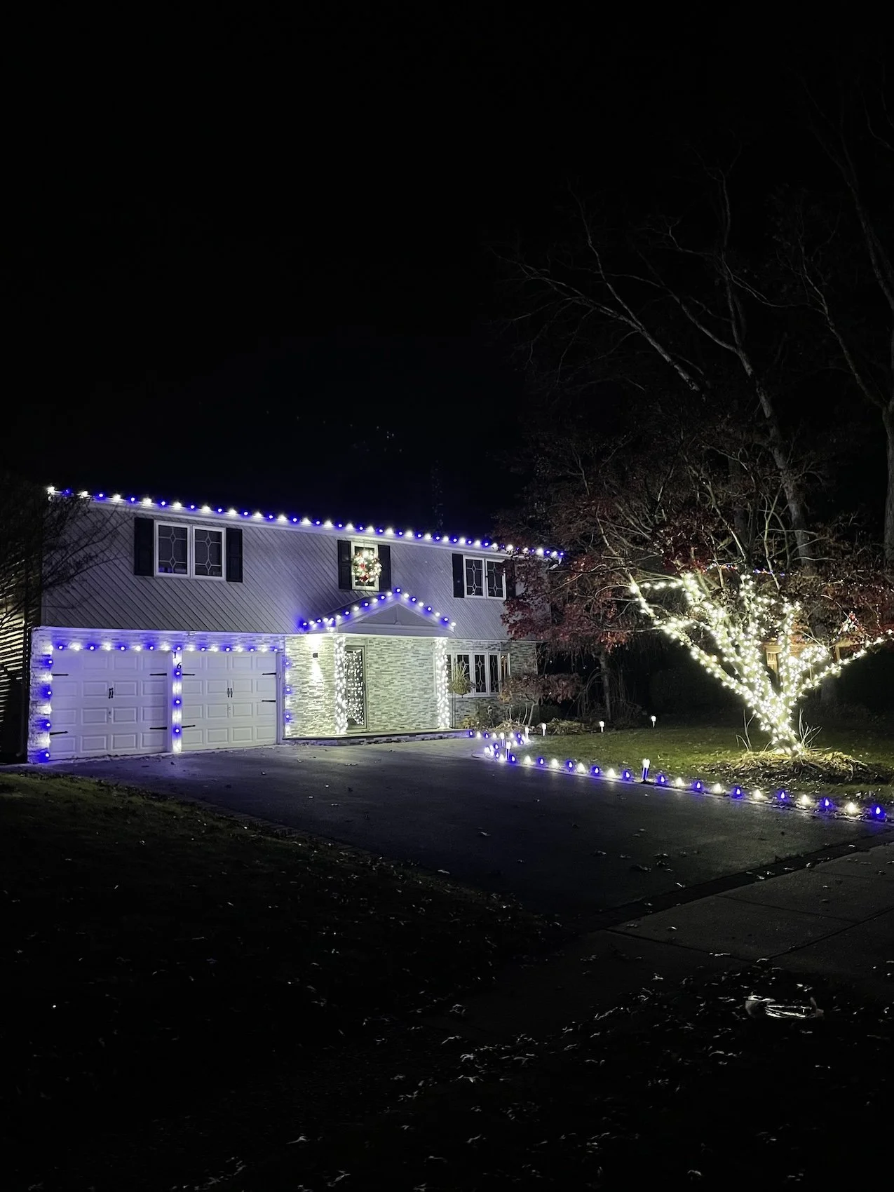 House outline and pathway illuminated with white and blue Christmas lights. A tree trunk wrapped with mini lights.
