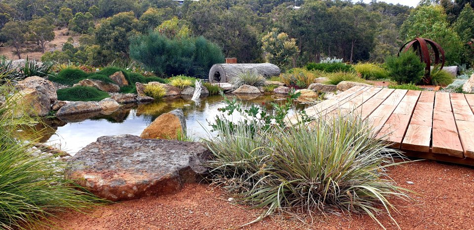 AFTER: Natural pond teeming with biodiversity. Installed Think Green Landscapes and Waterscapes
