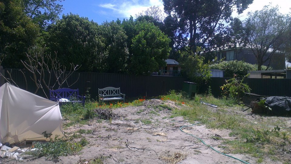 BEFORE: Weedy blank canvas in Floreat