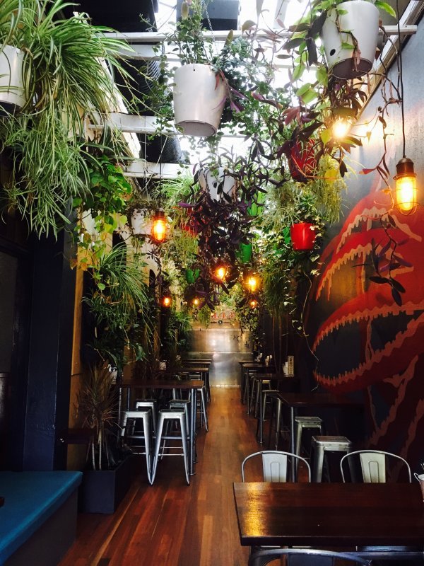 AFTER: Indoor hanging pots create a jungle effect. Interior design Stiely Design