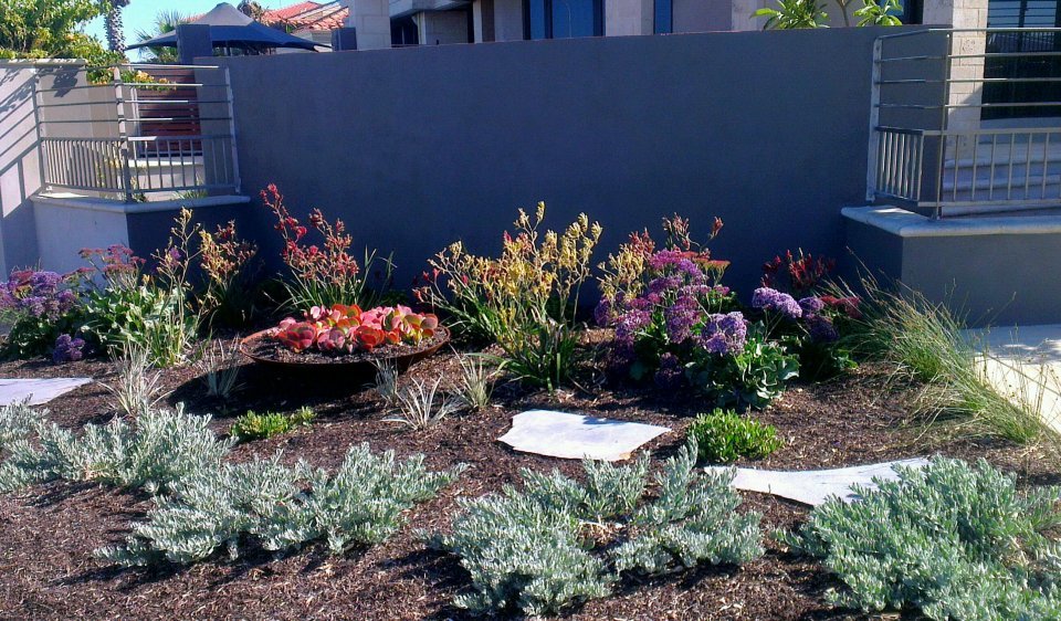 AFTER: Mullaloo - colourful verge plantings Level 2 consult