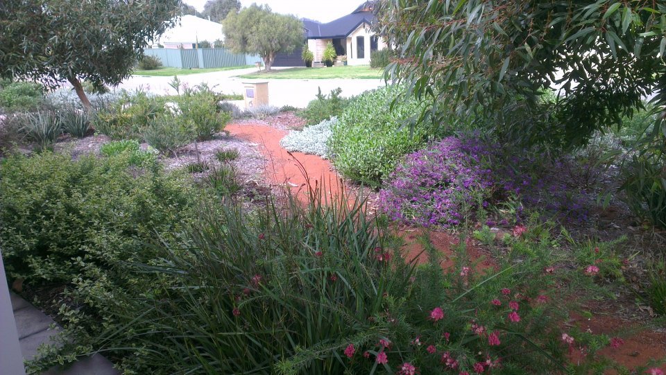 AFTER: Full design: Native garden Atwell