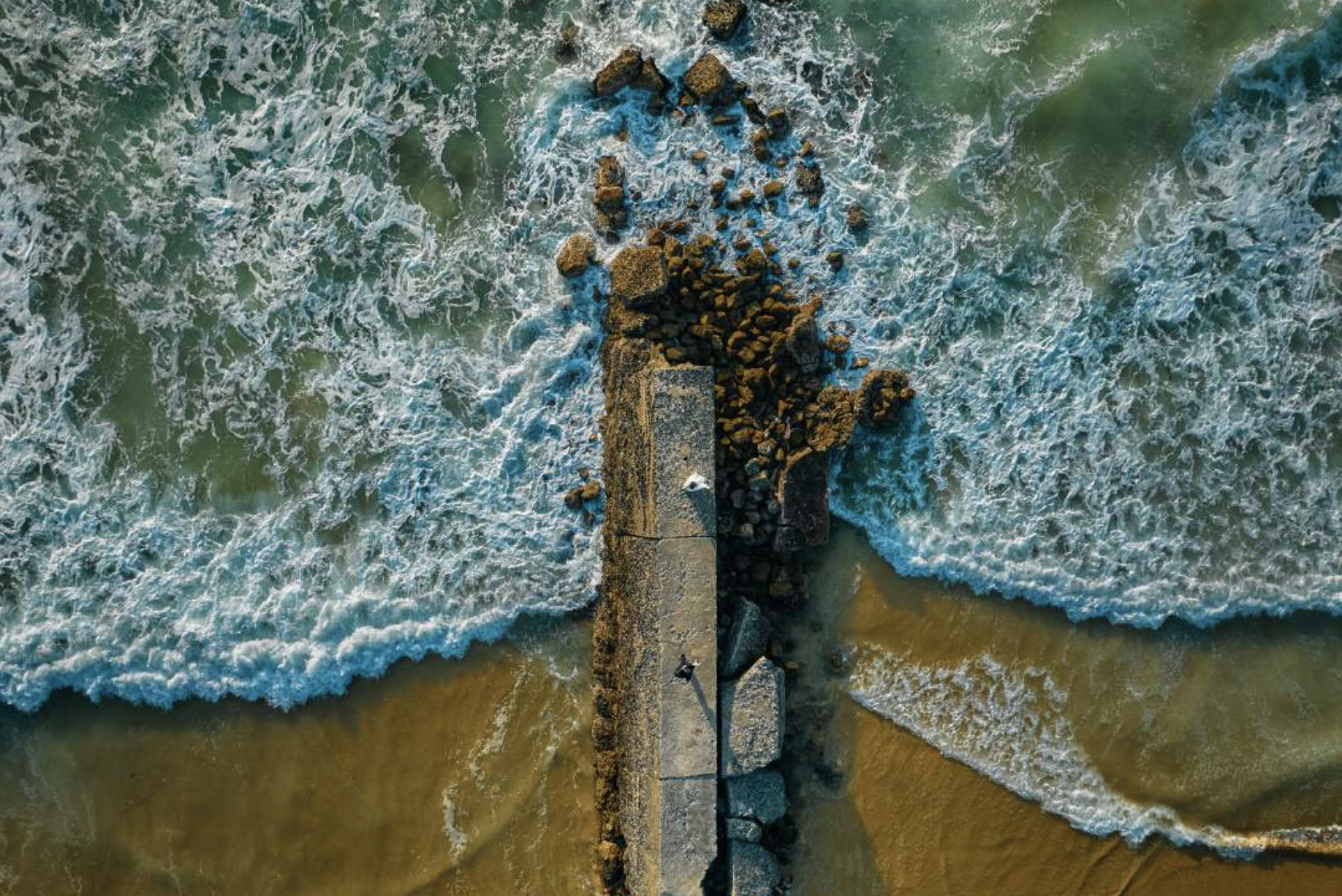 スクリーンショット 2025-02-01 22.51.58.png