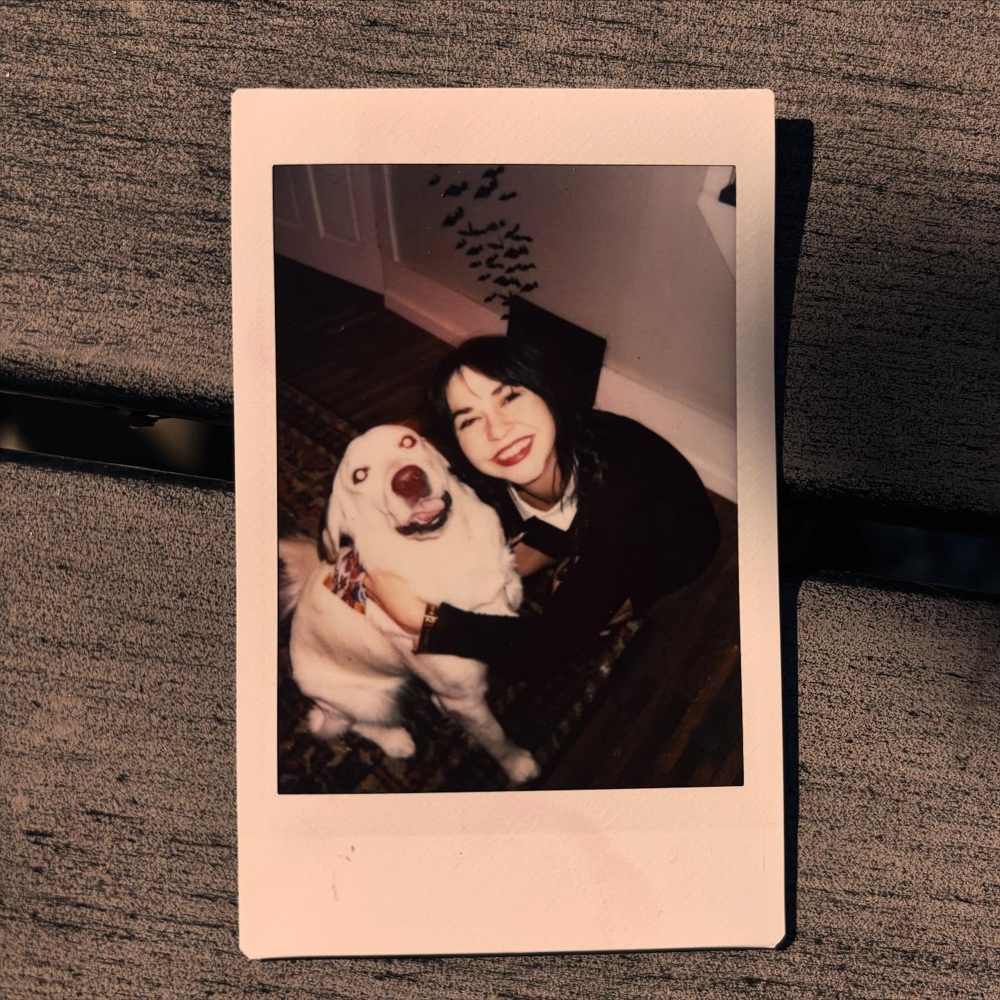 Scroll to see some cutie pie Halloween costumes!!! 🦀🦈🍌🌭

okay, okay - I love spooky season...but this might be our last 🎃 post! BOO