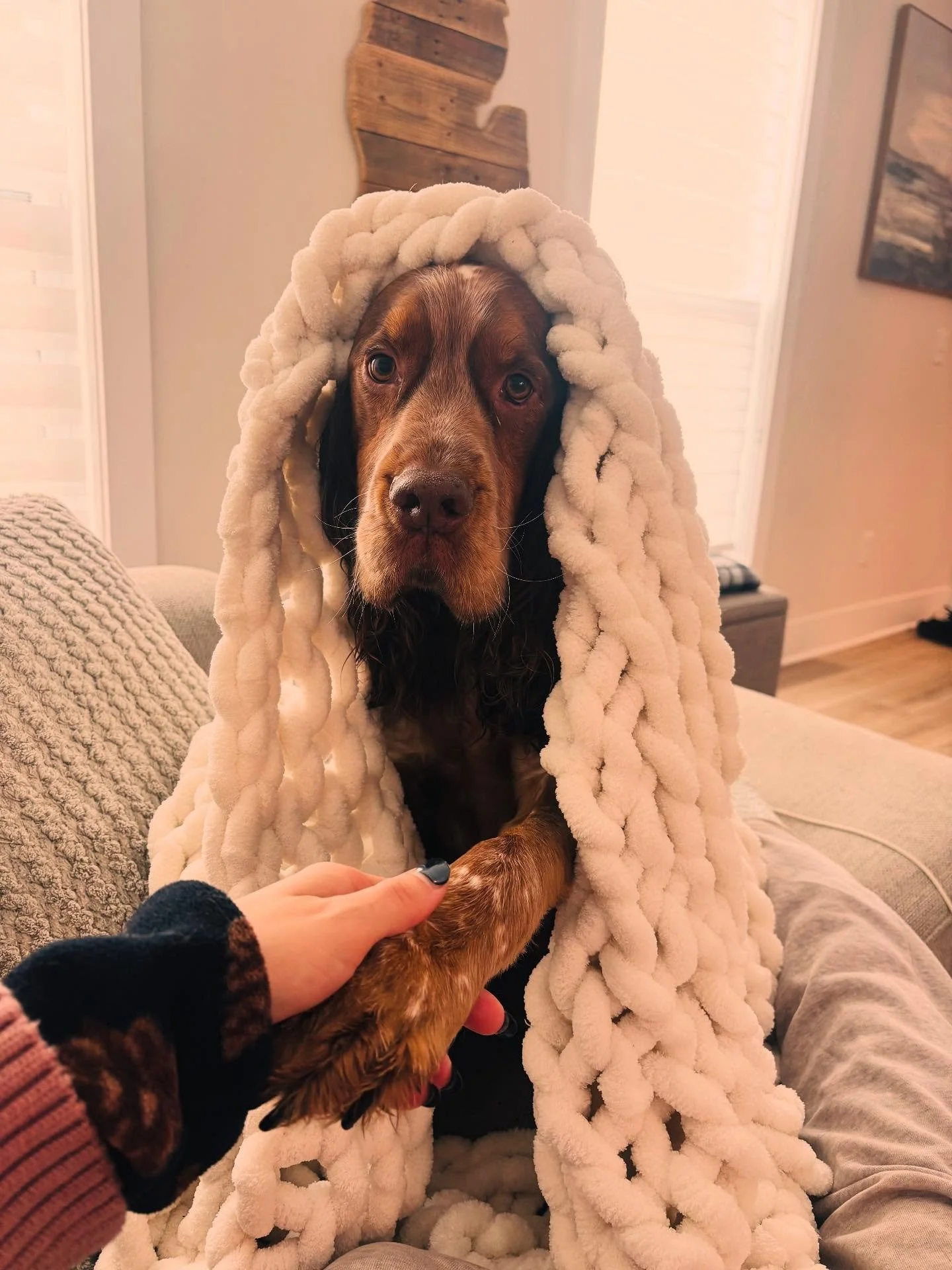 Winter Safety Reminder ❄️🐾
As temps drop, we want to remind everyone that the safety of your pets and our team always comes first. If sidewalks are too icy or conditions are unsafe for a full walk, we&rsquo;ll let you know and adjust to a shorter po